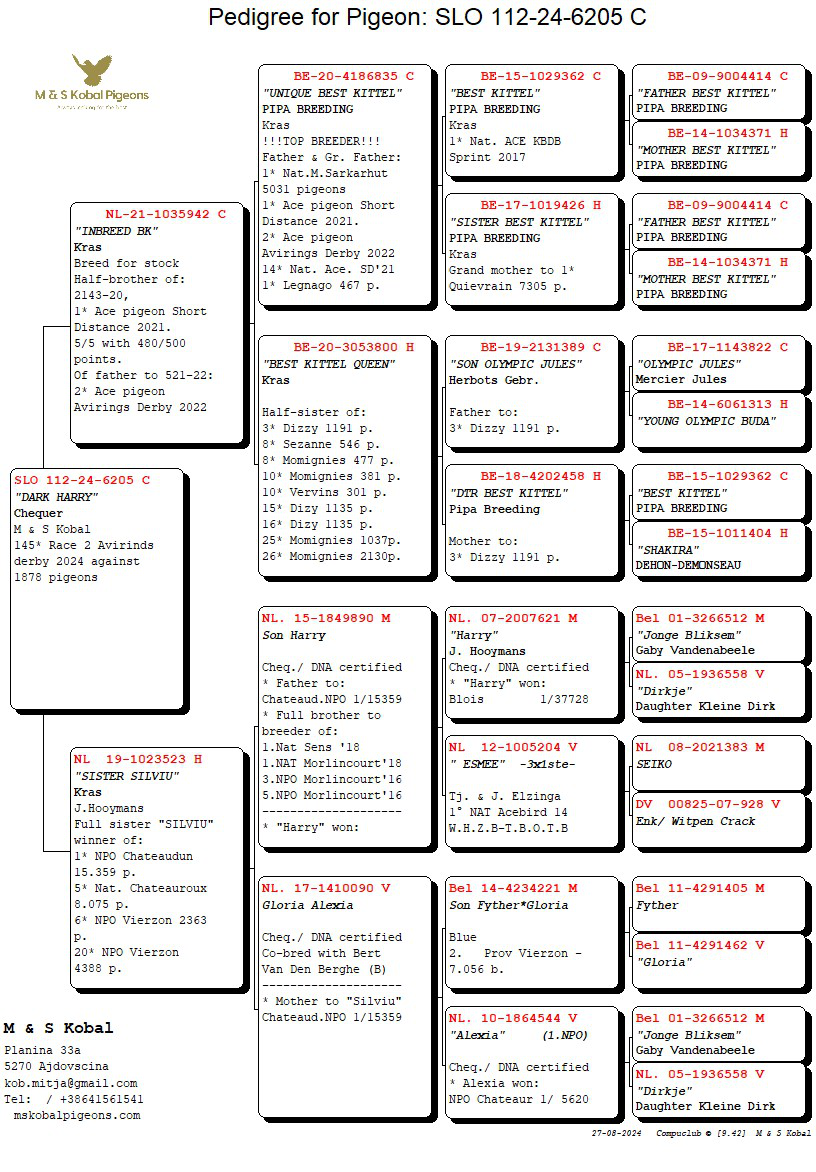 Pigeon pedigree image
