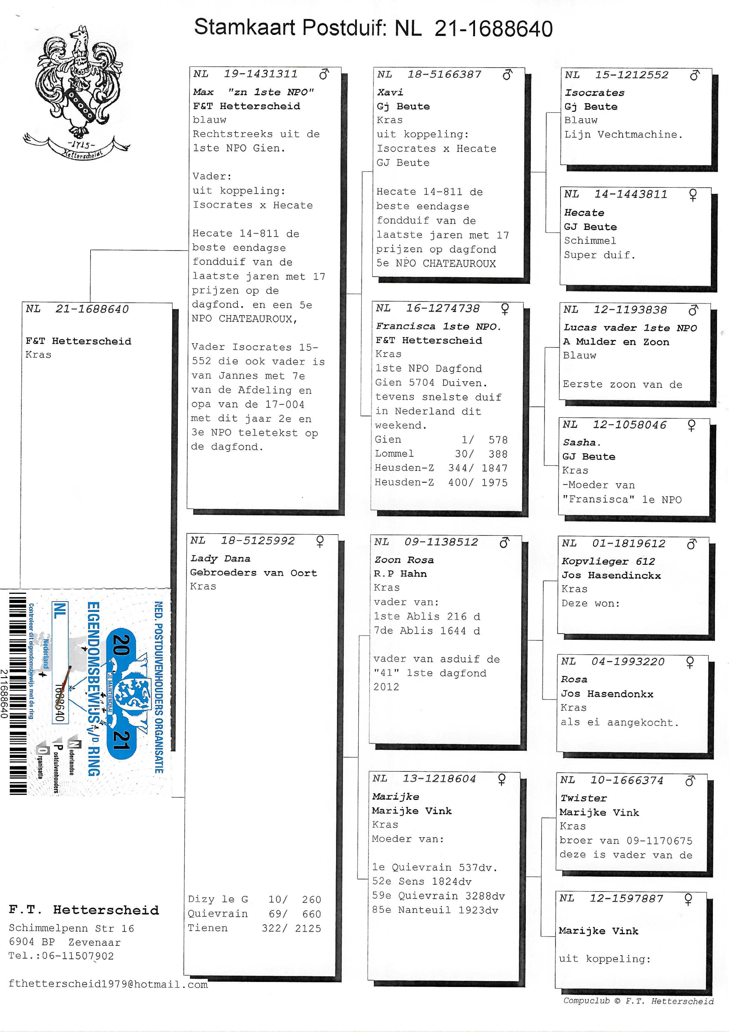 Pigeon pedigree image