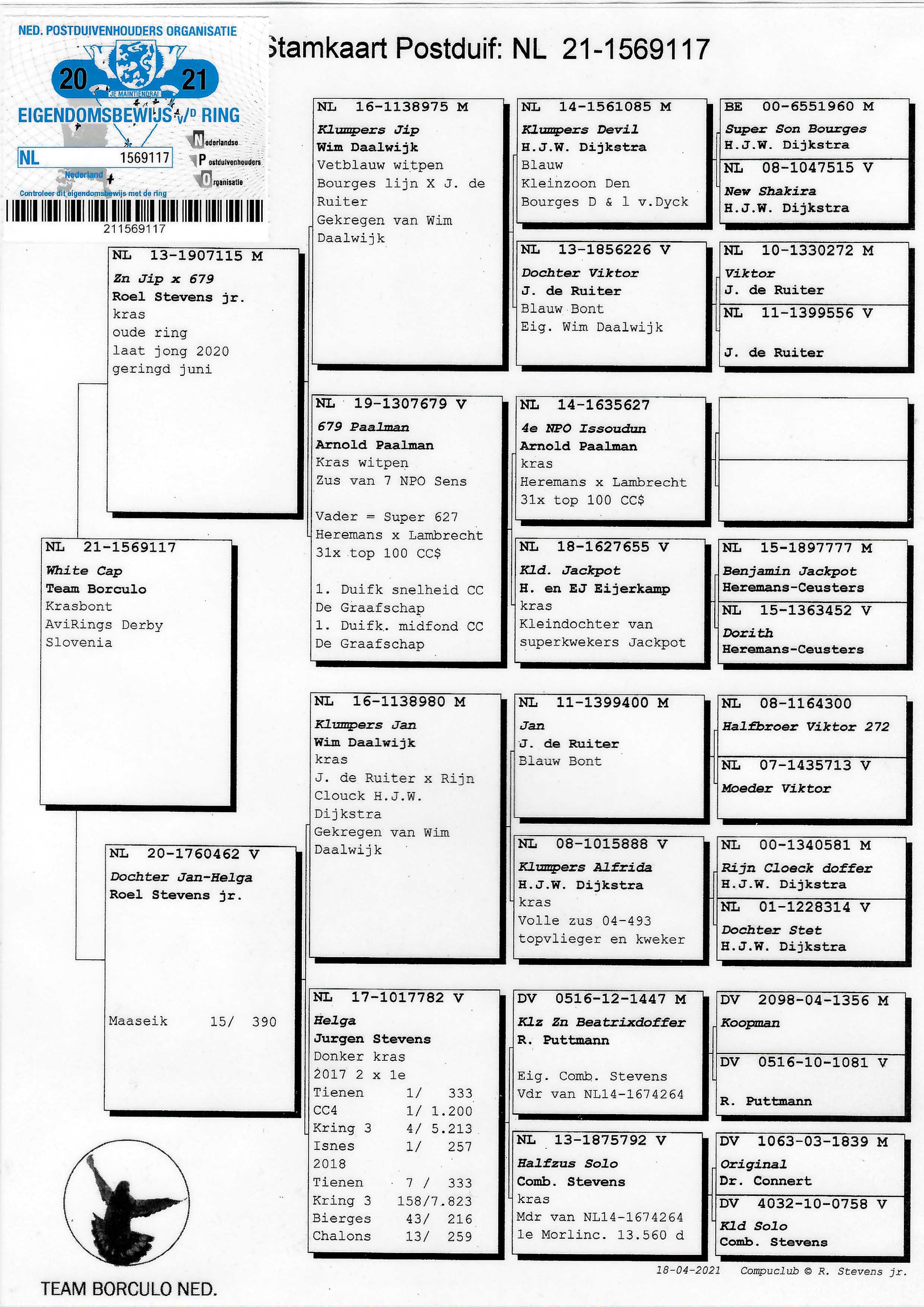 Pigeon pedigree image