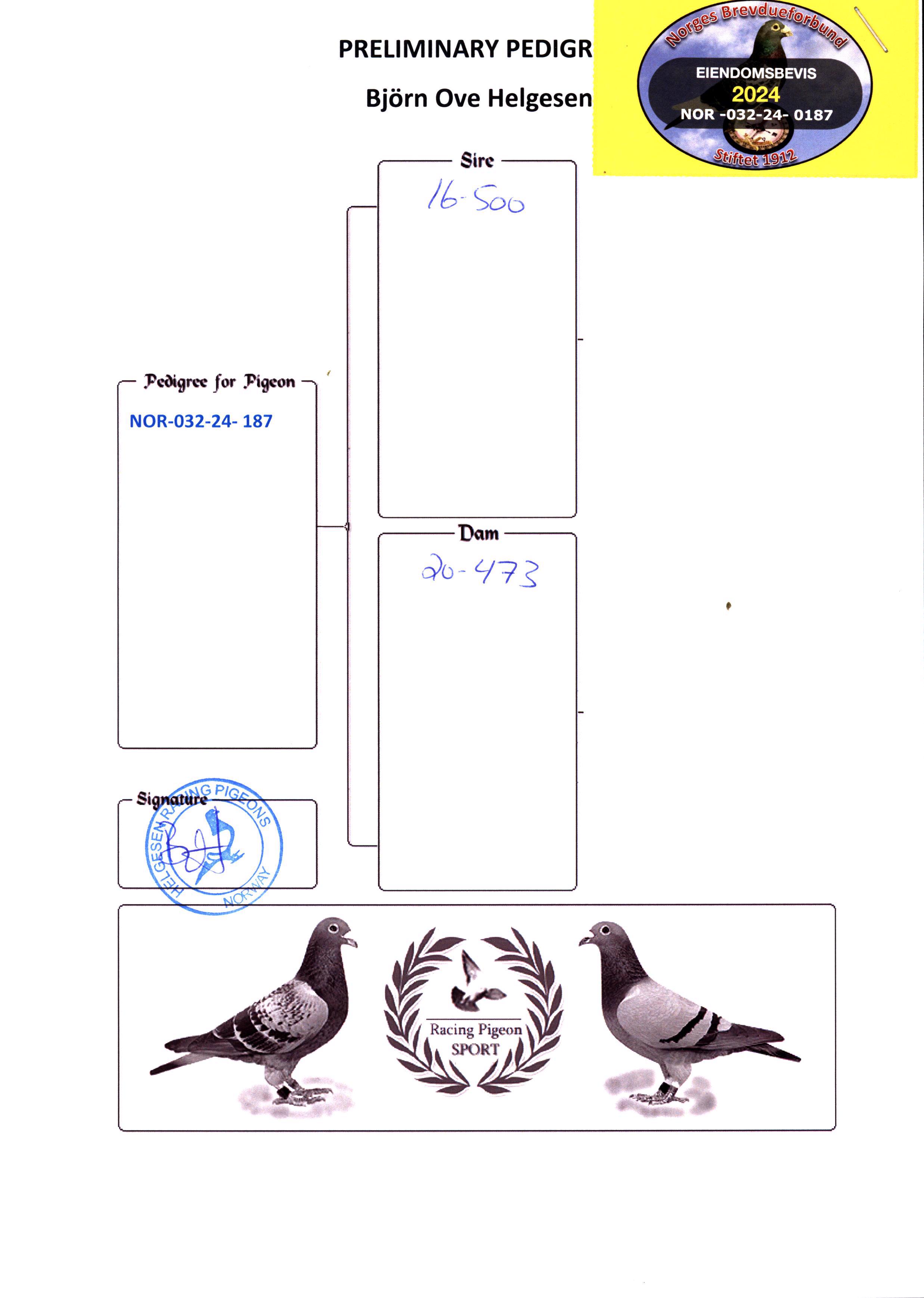 Pigeon pedigree image