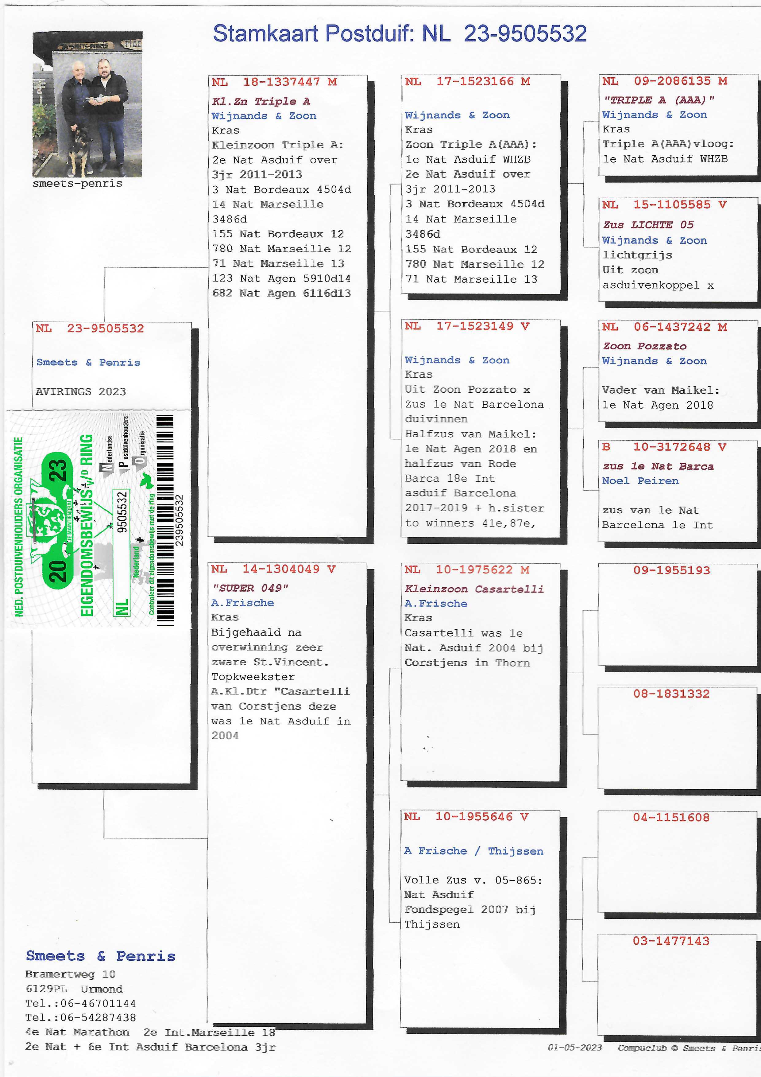 Pigeon pedigree image