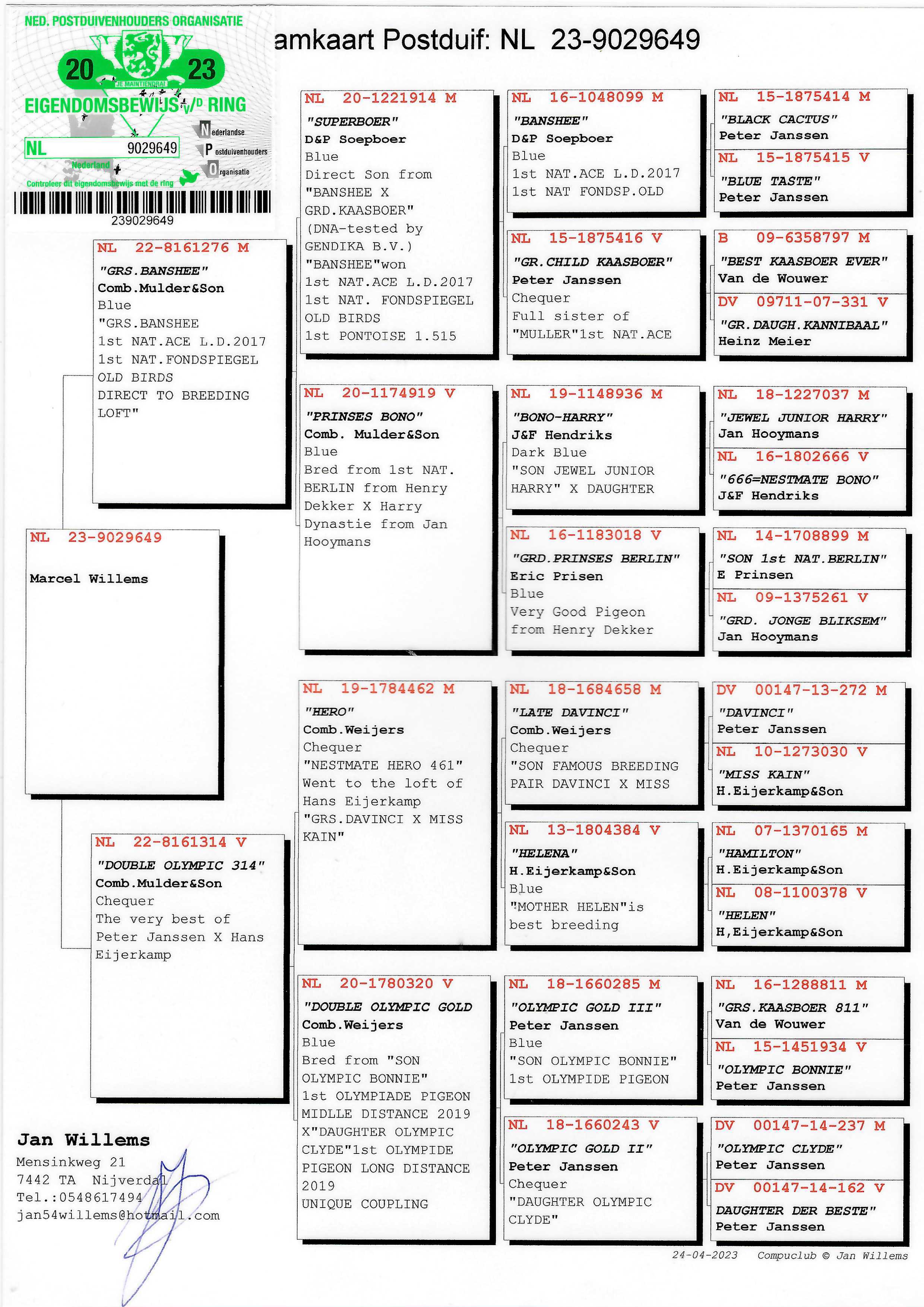 Pigeon pedigree image