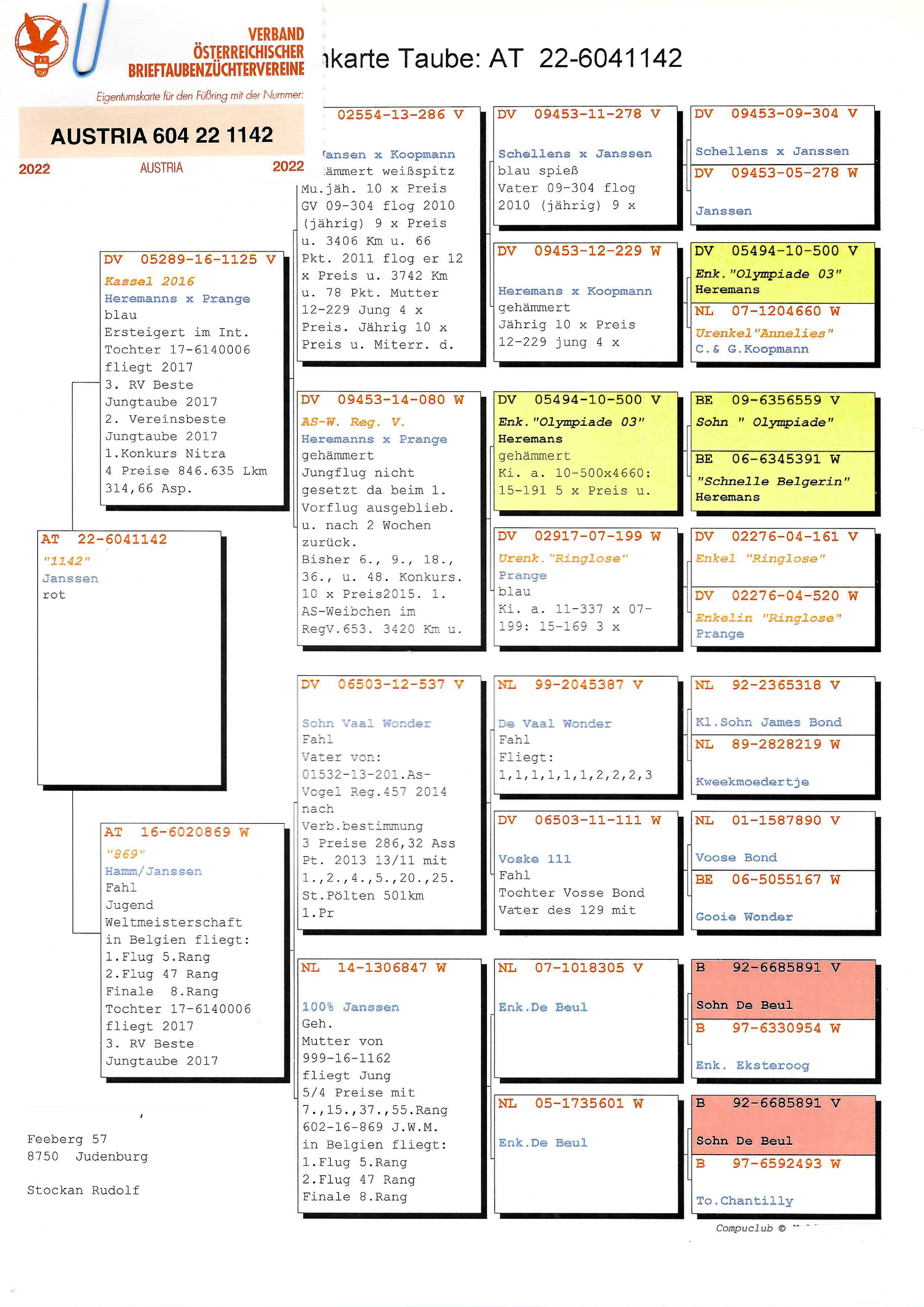 Pigeon pedigree image