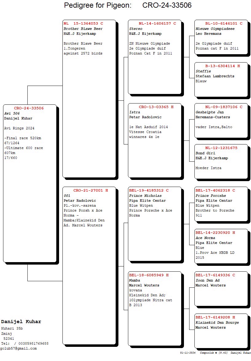 Pigeon pedigree image