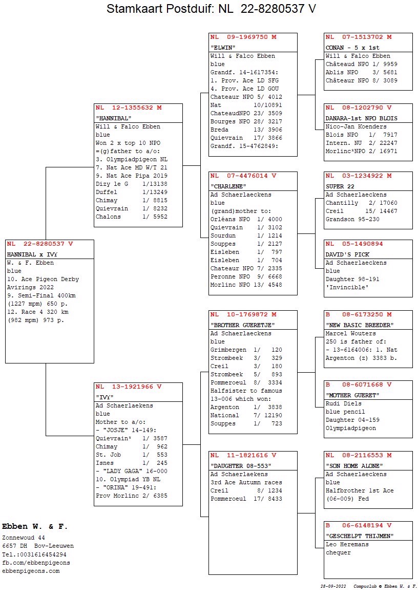Pigeon pedigree image