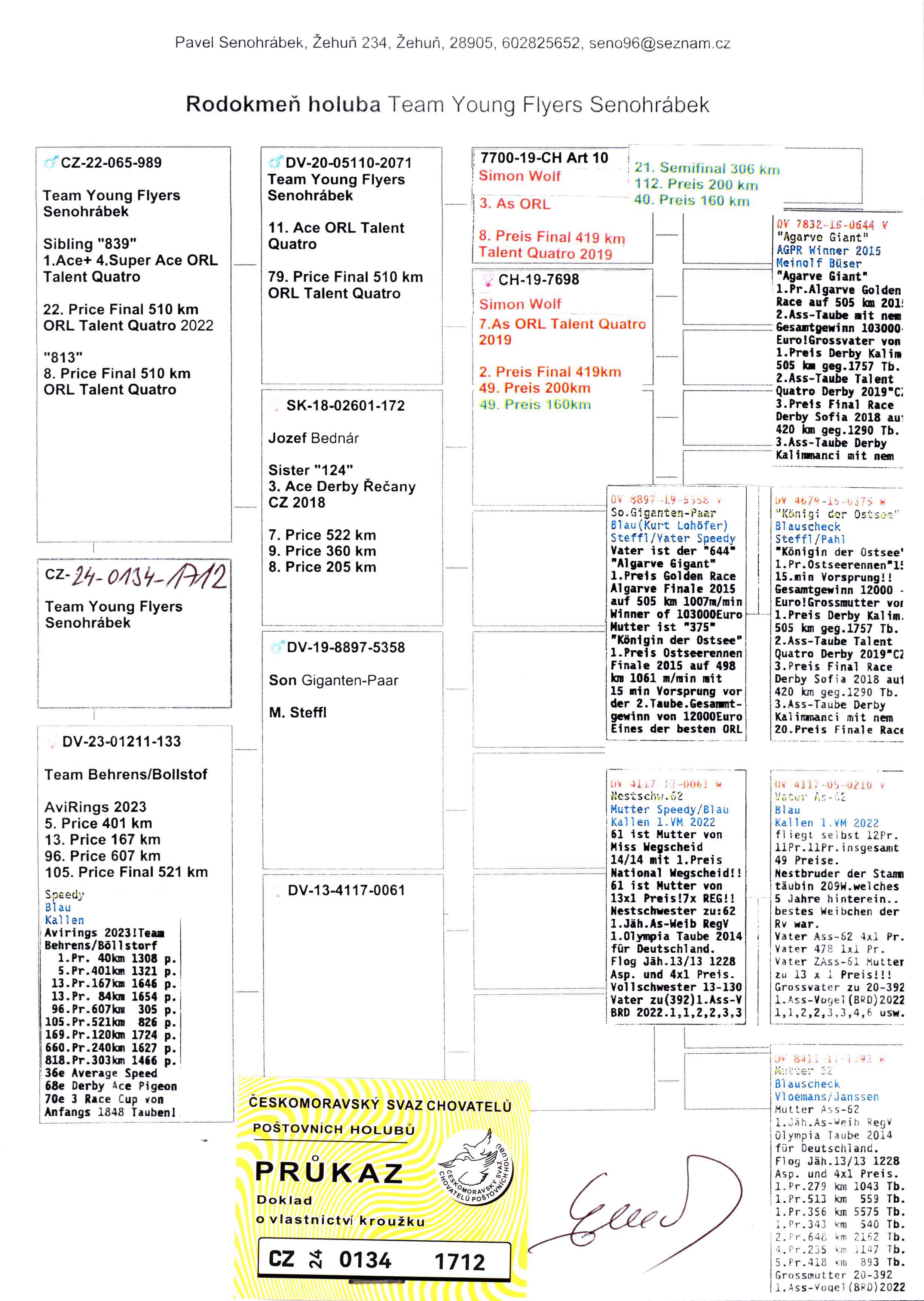 Pigeon pedigree image