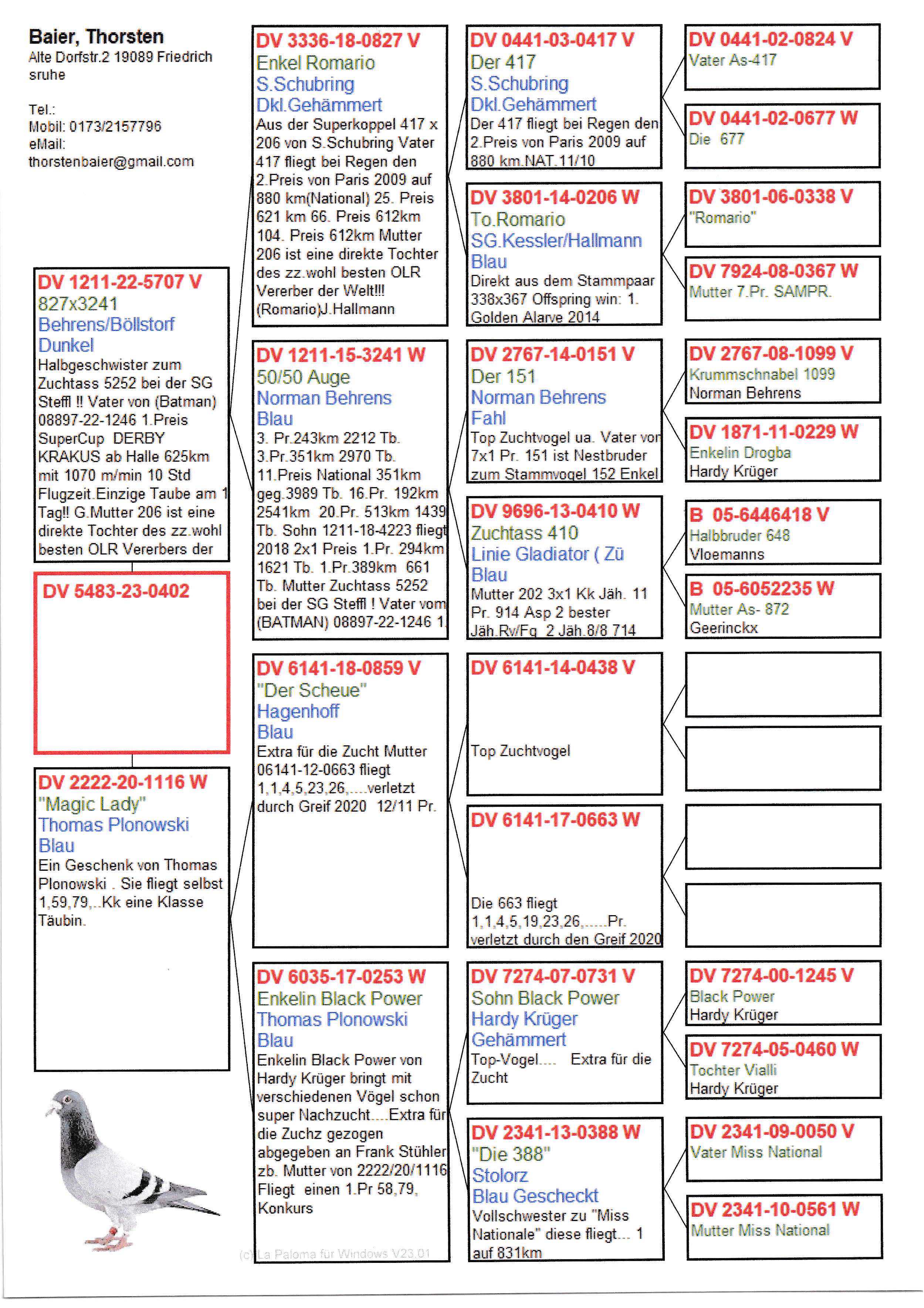 Pigeon pedigree image