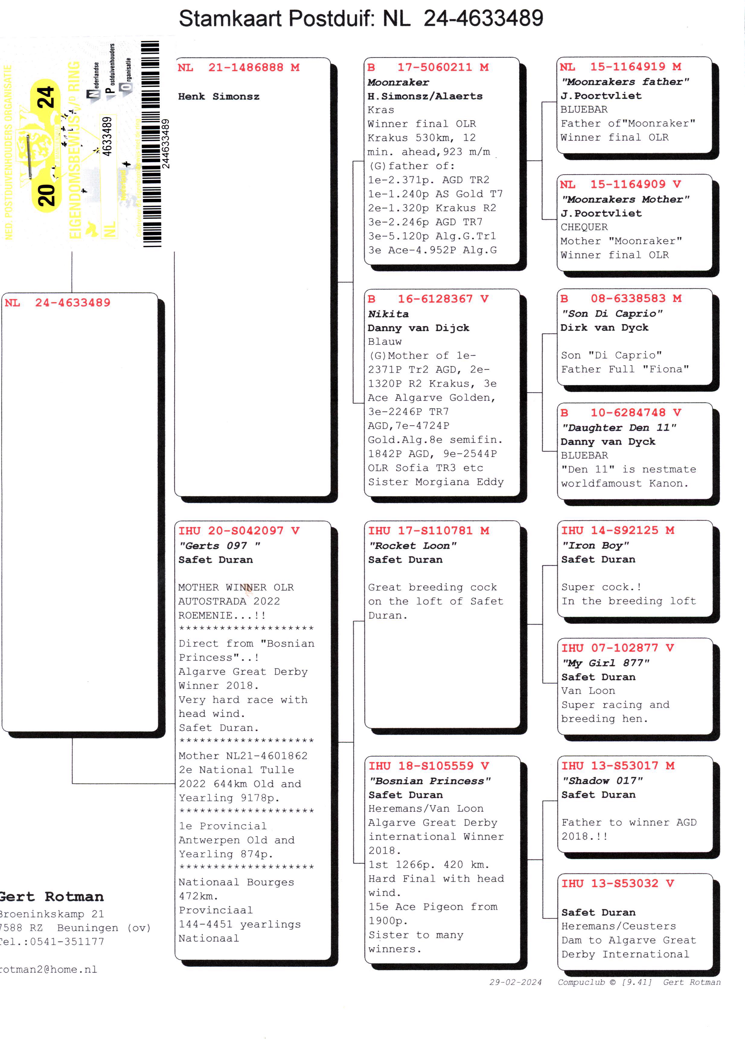 Pigeon pedigree image
