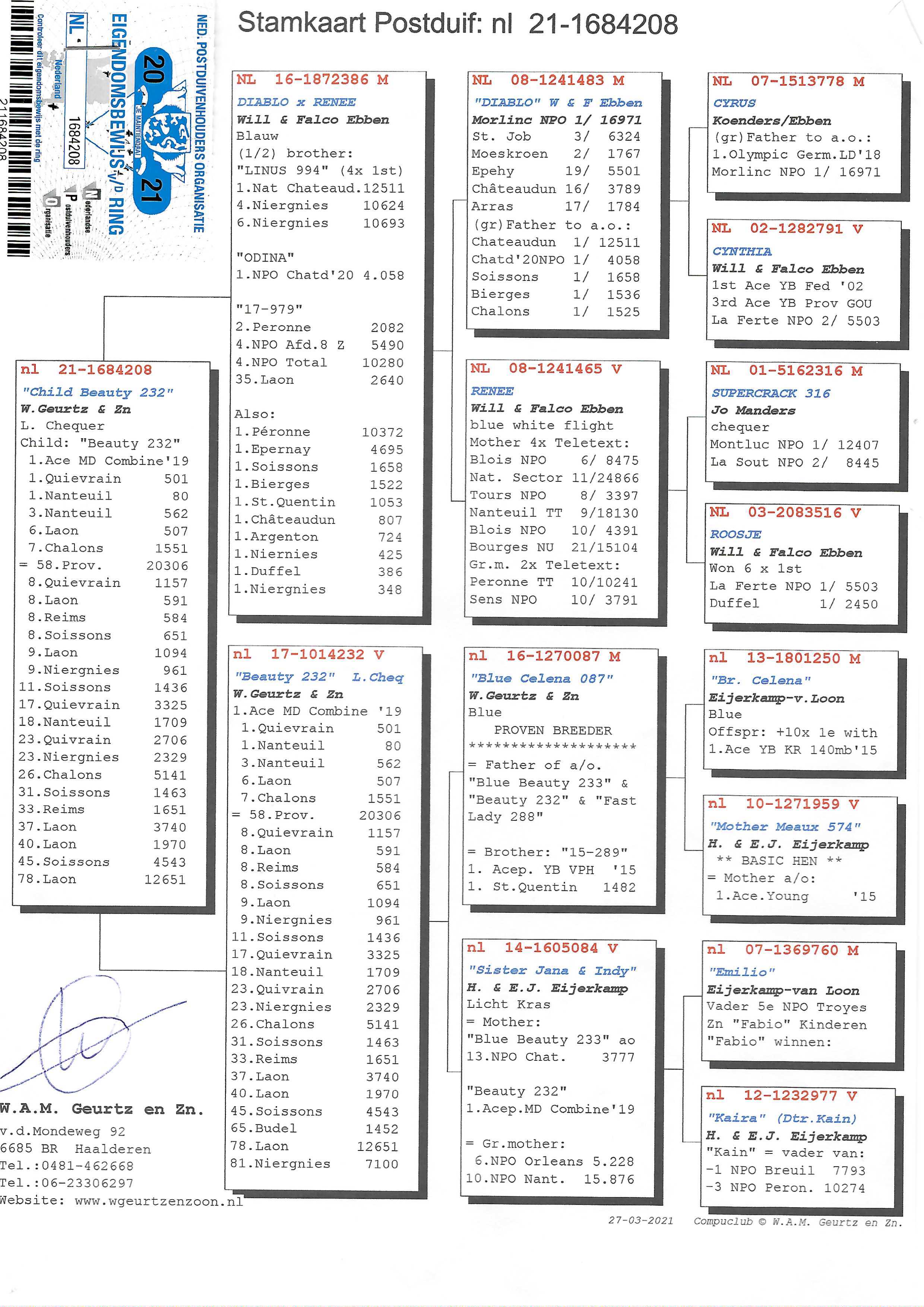 Pigeon pedigree image