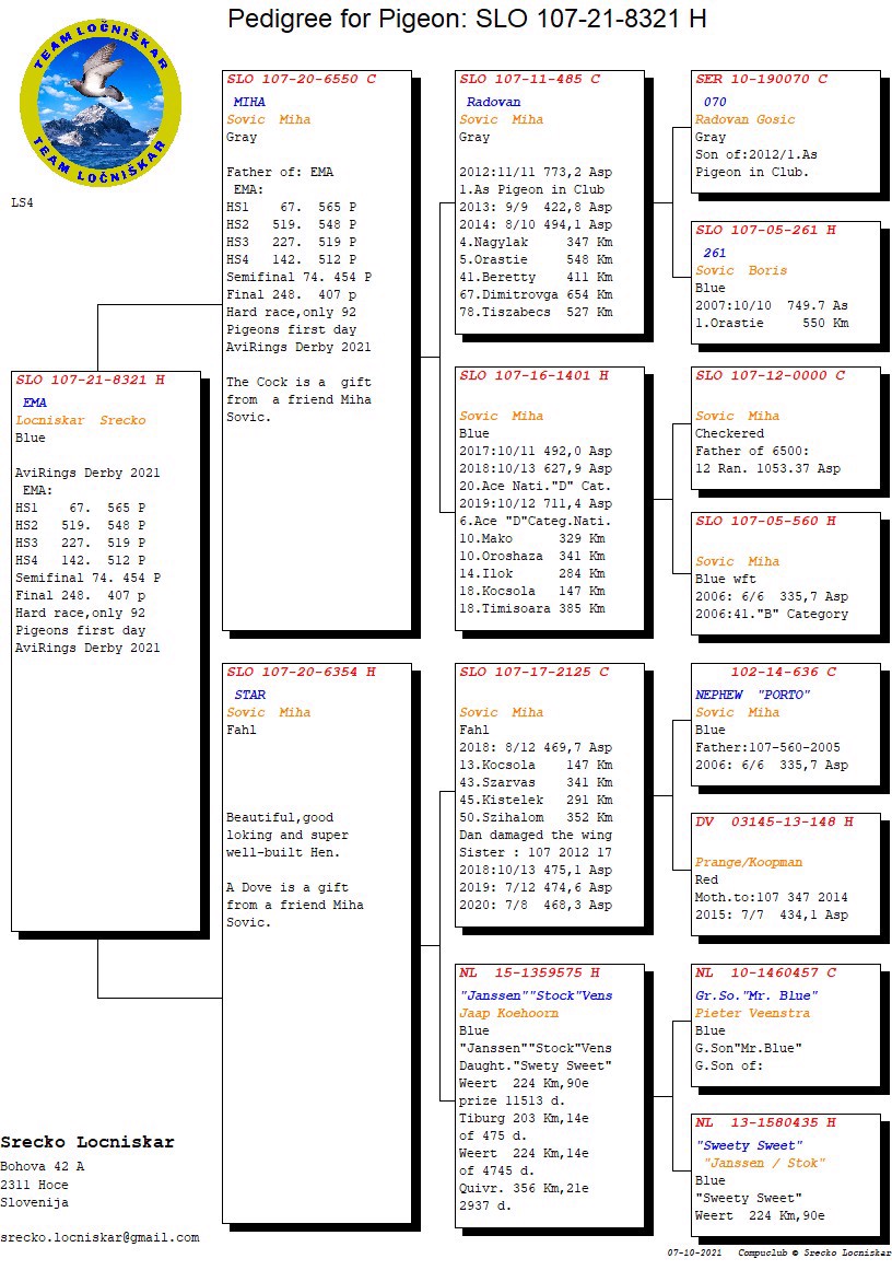 Pigeon pedigree image