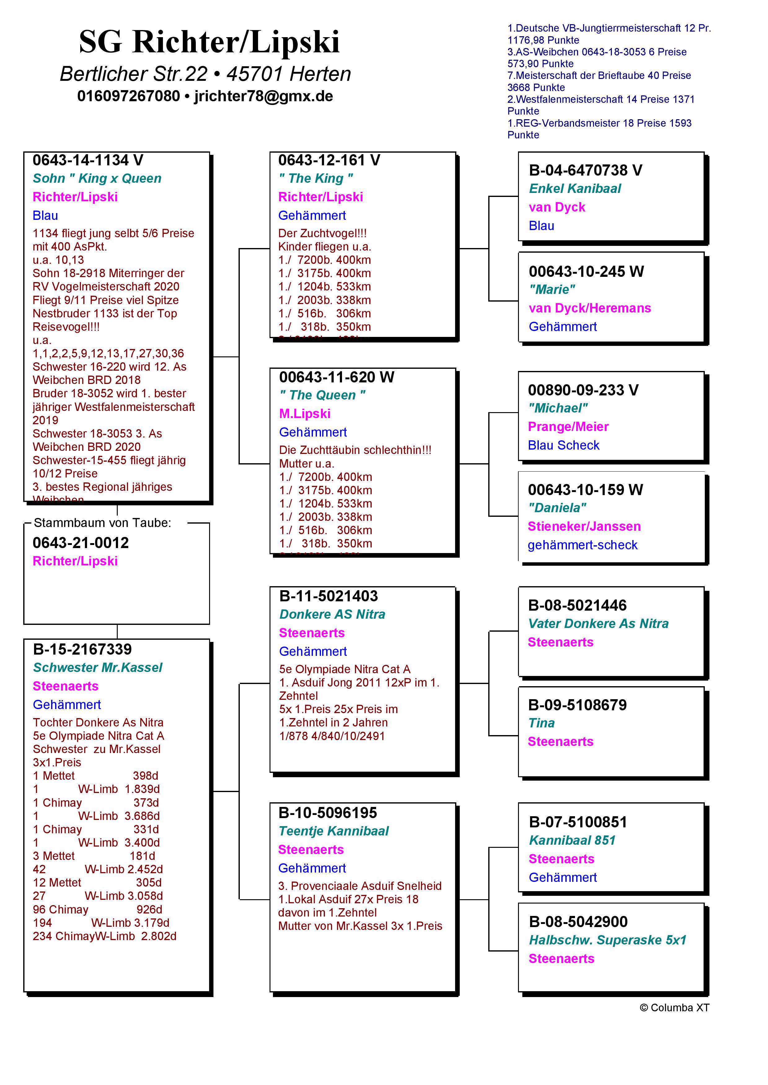 Pigeon pedigree image