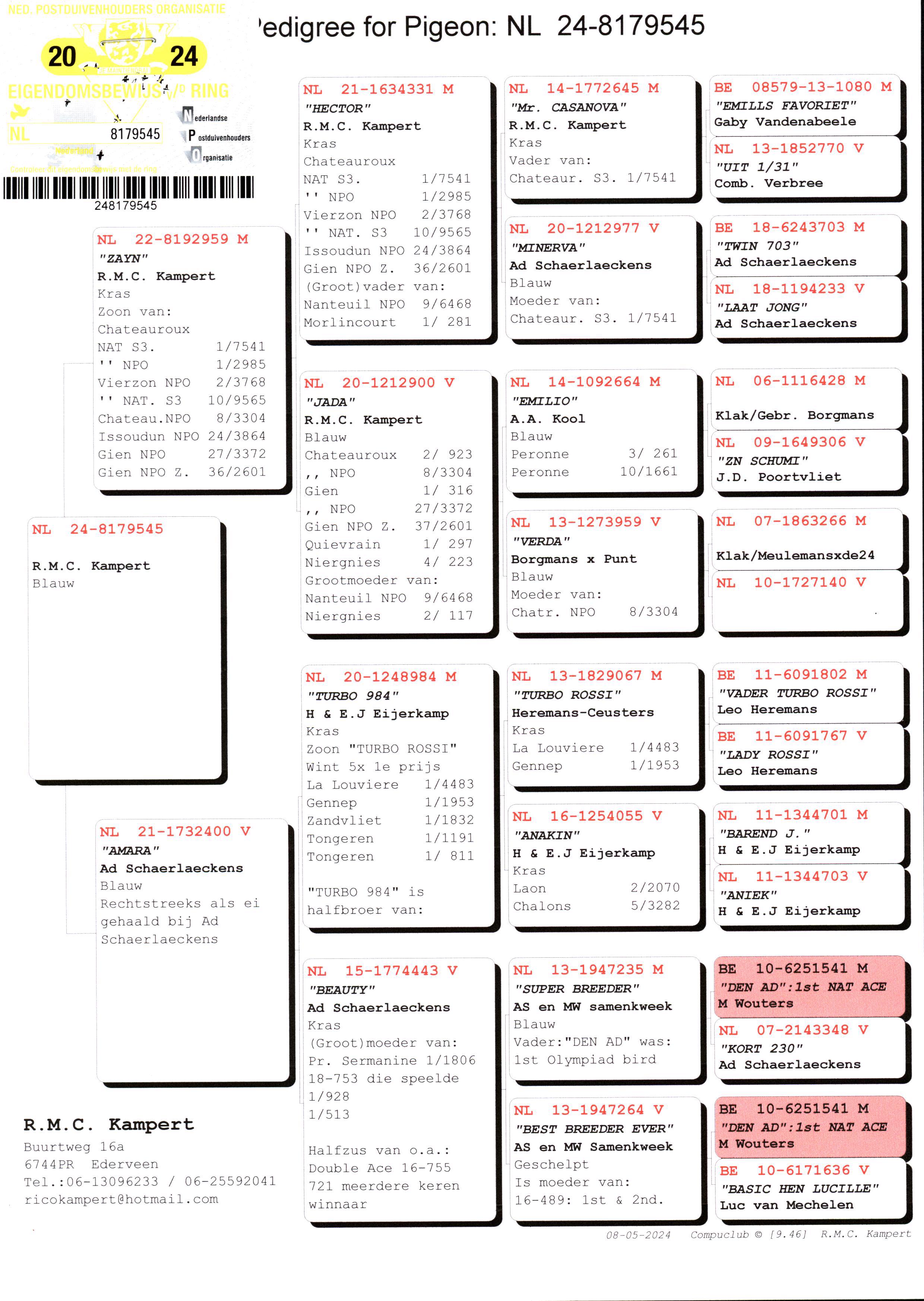 Pigeon pedigree image