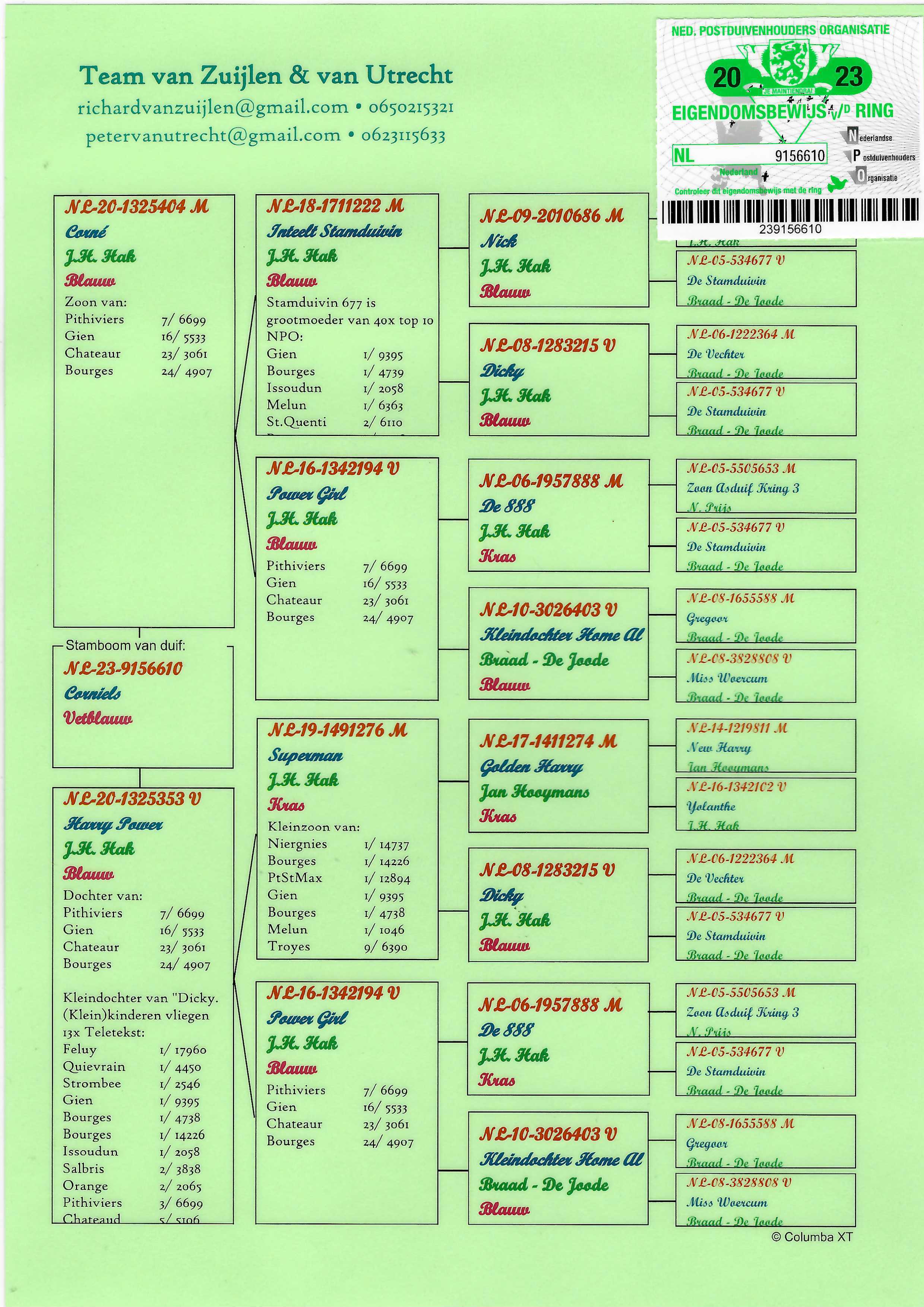 Pigeon pedigree image