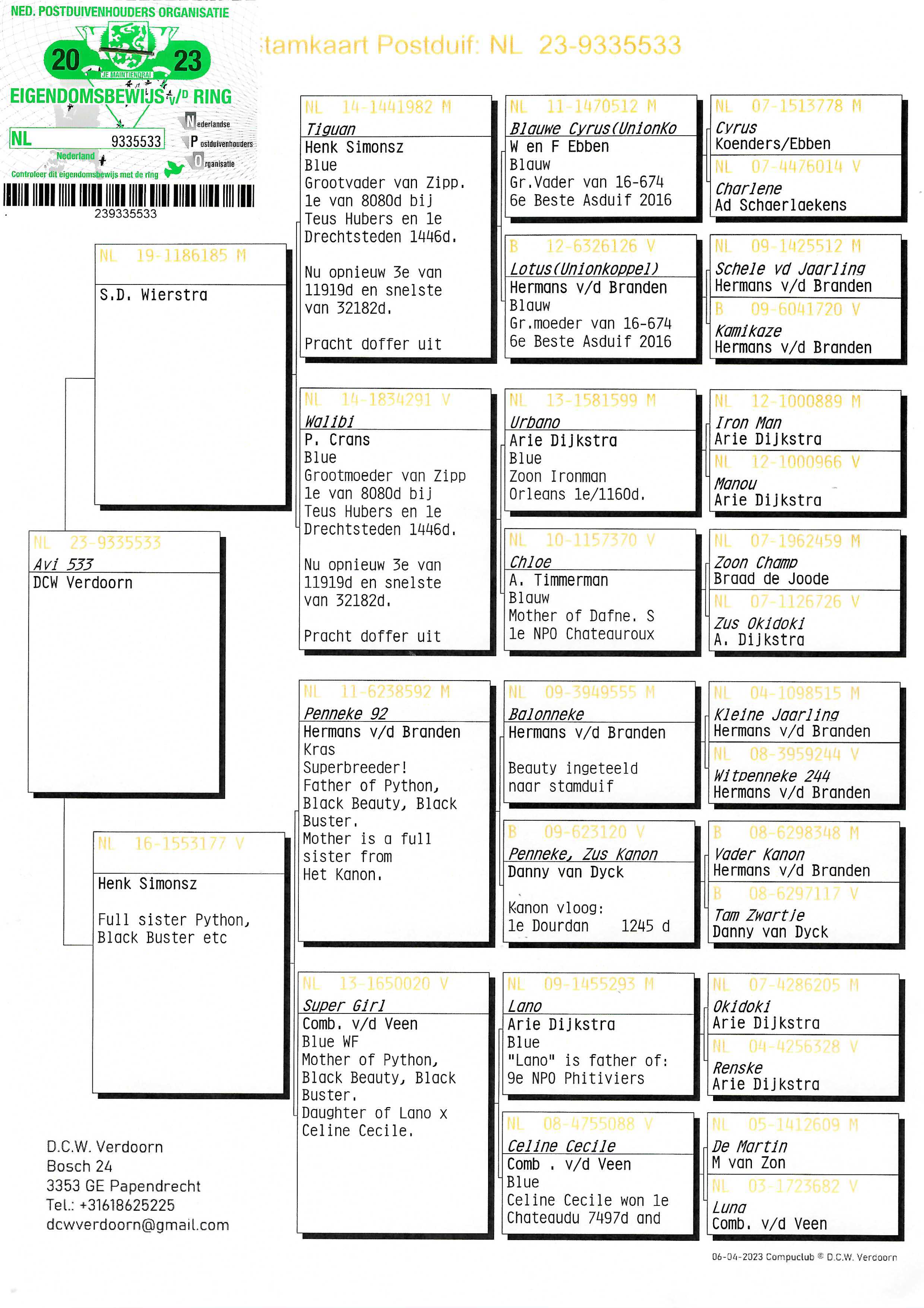 Pigeon pedigree image