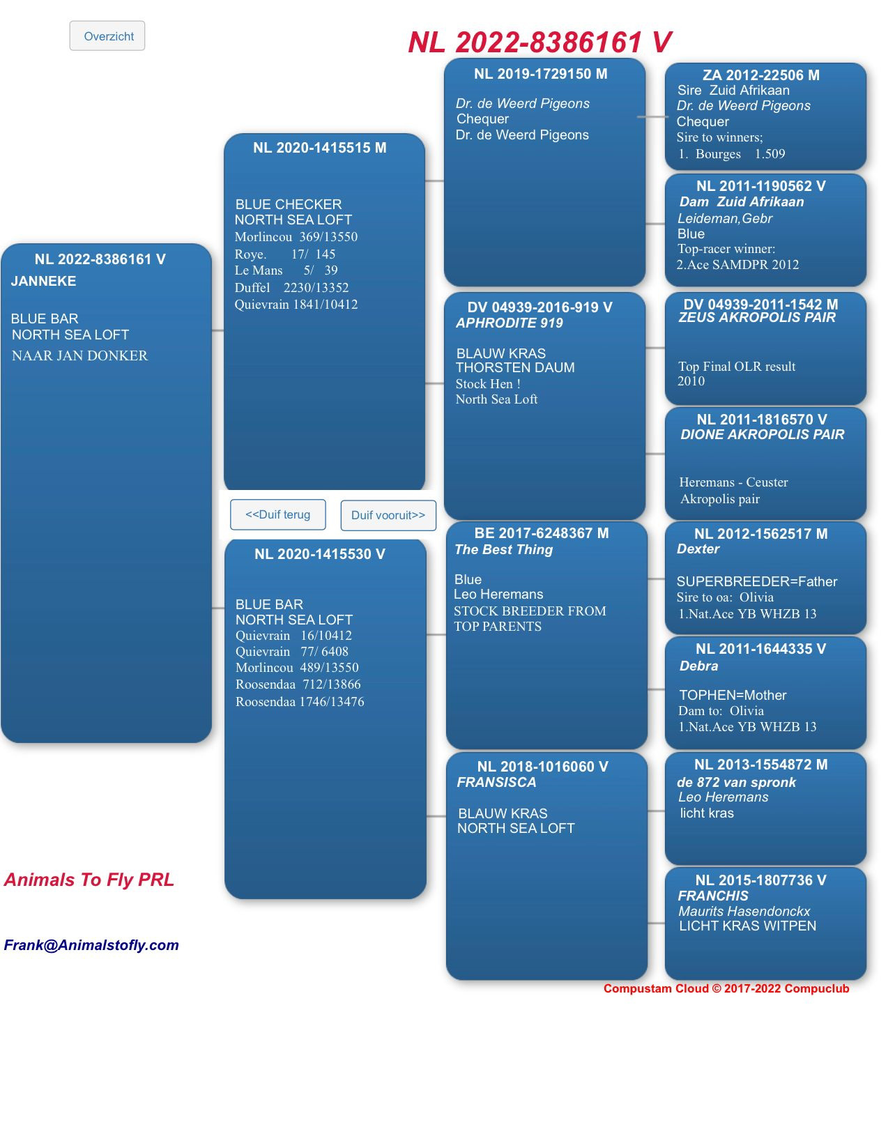 Pigeon pedigree image