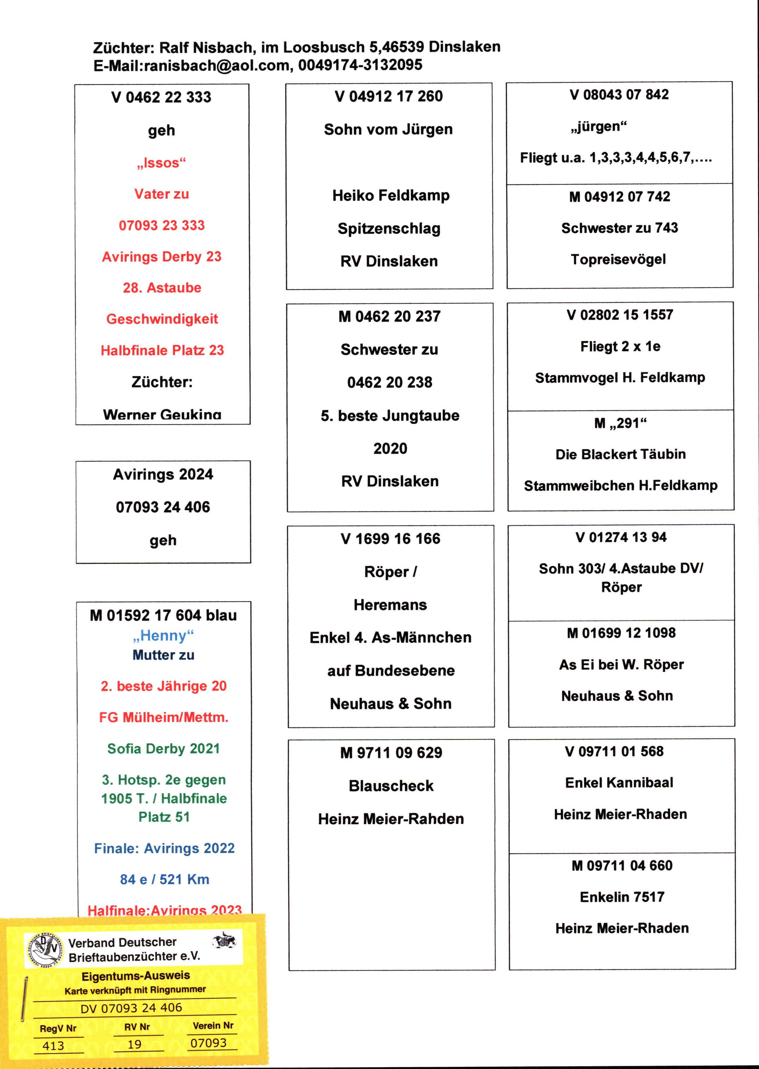 Pigeon pedigree image