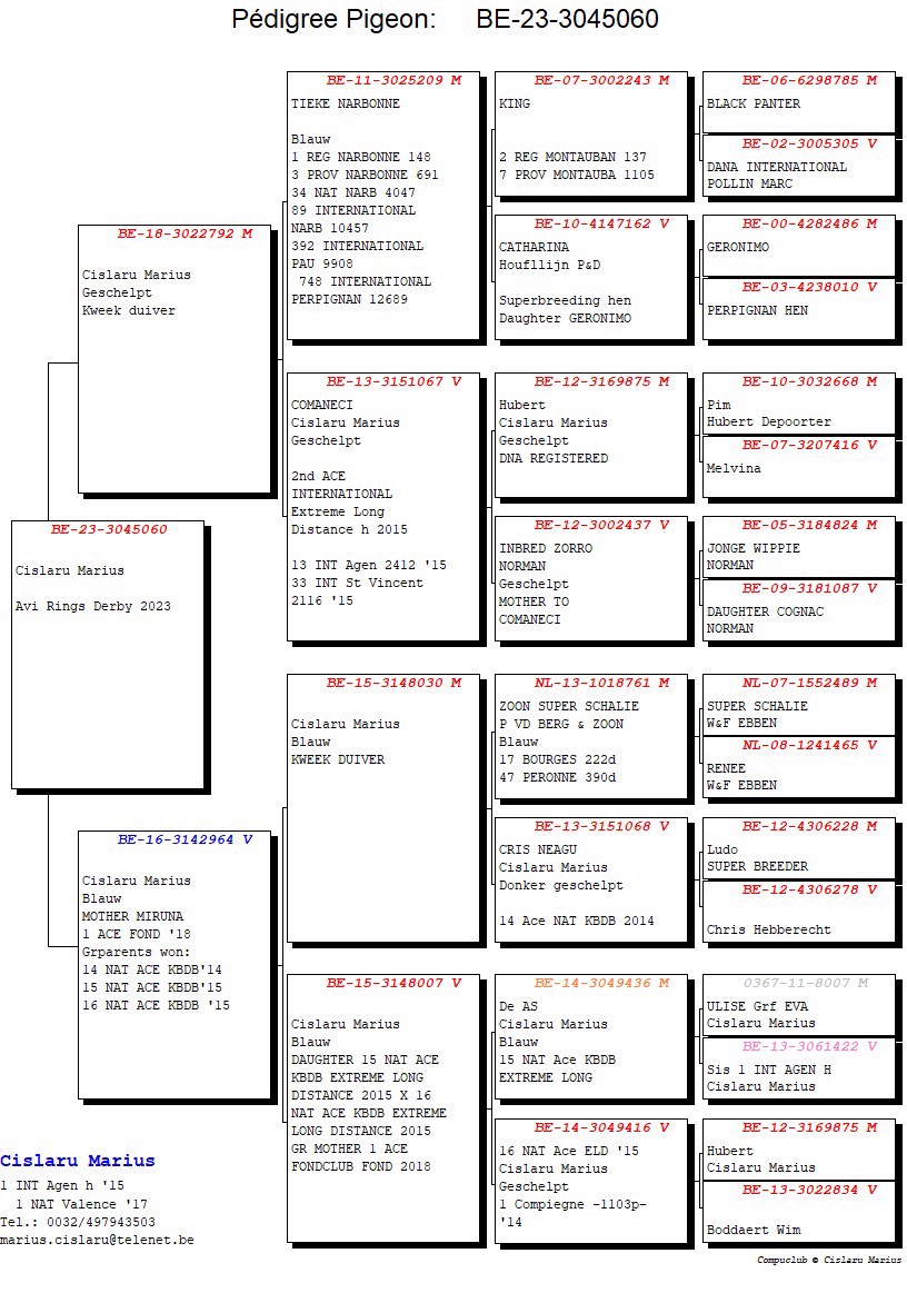 Pigeon pedigree image