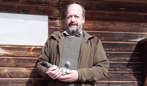 Pigeon image