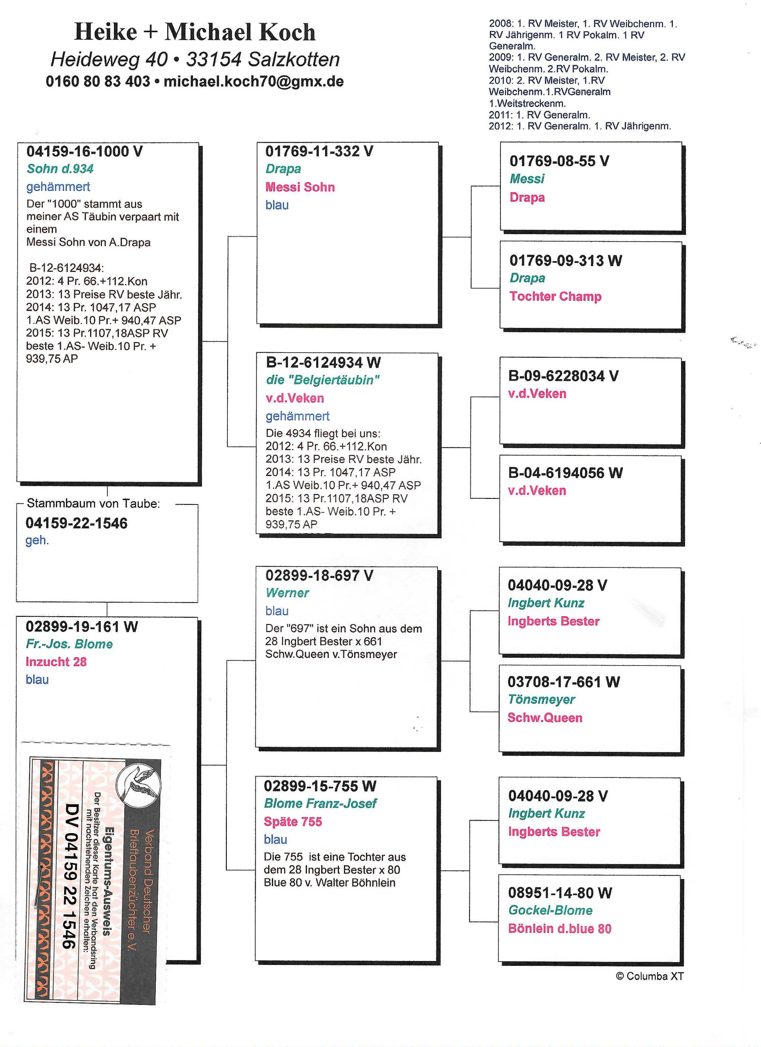 Pigeon pedigree image