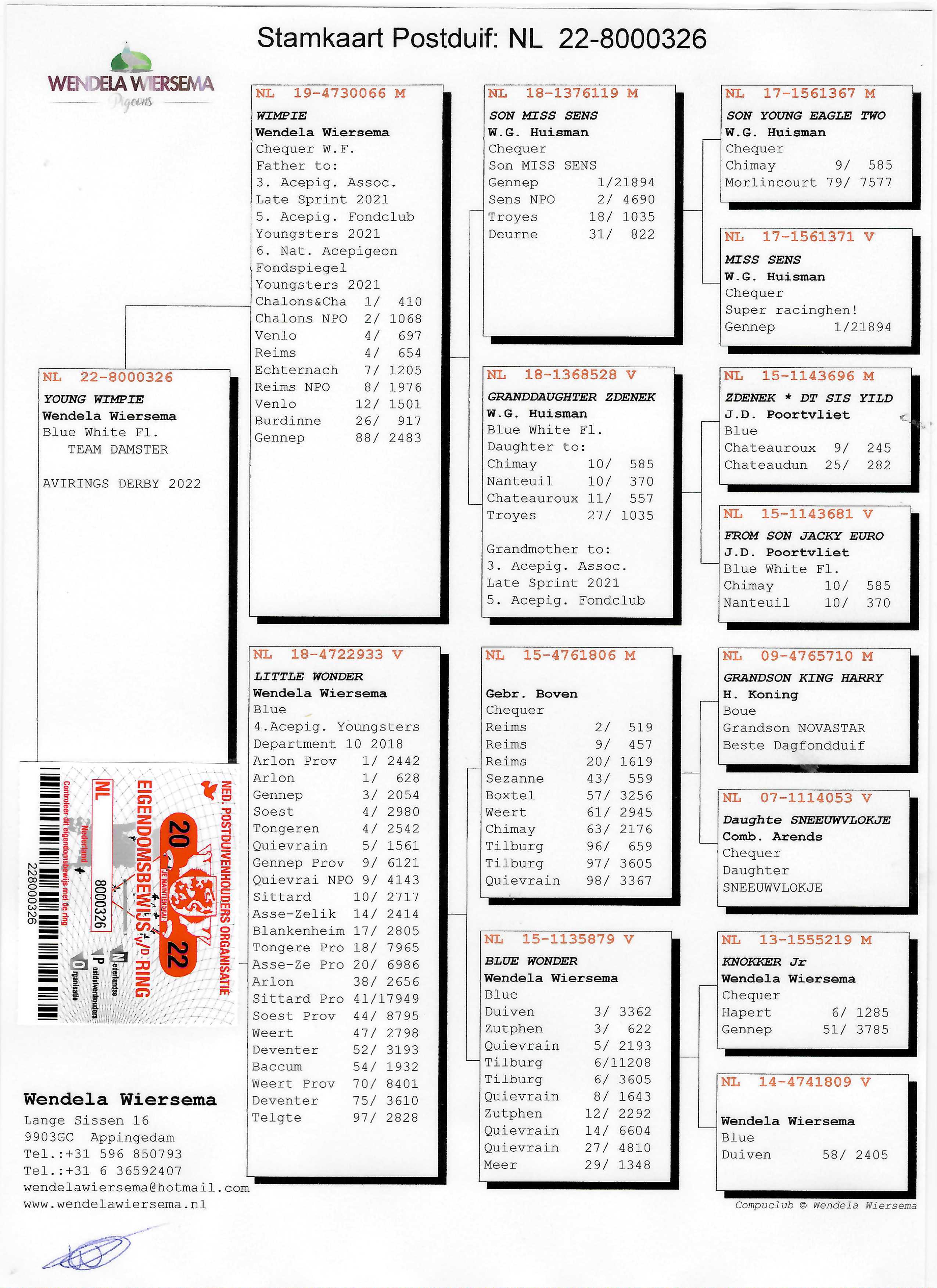 Pigeon pedigree image