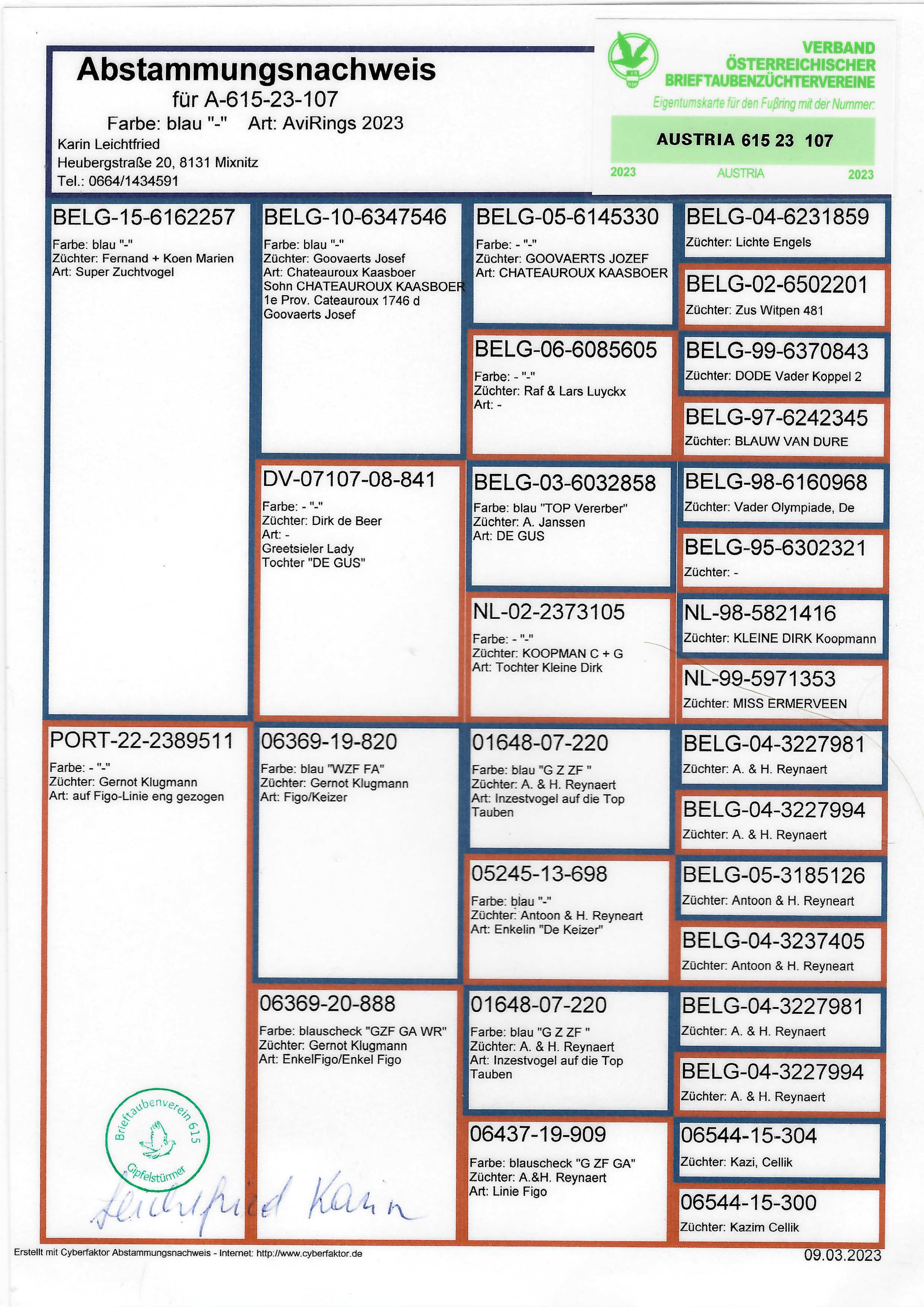 Pigeon pedigree image