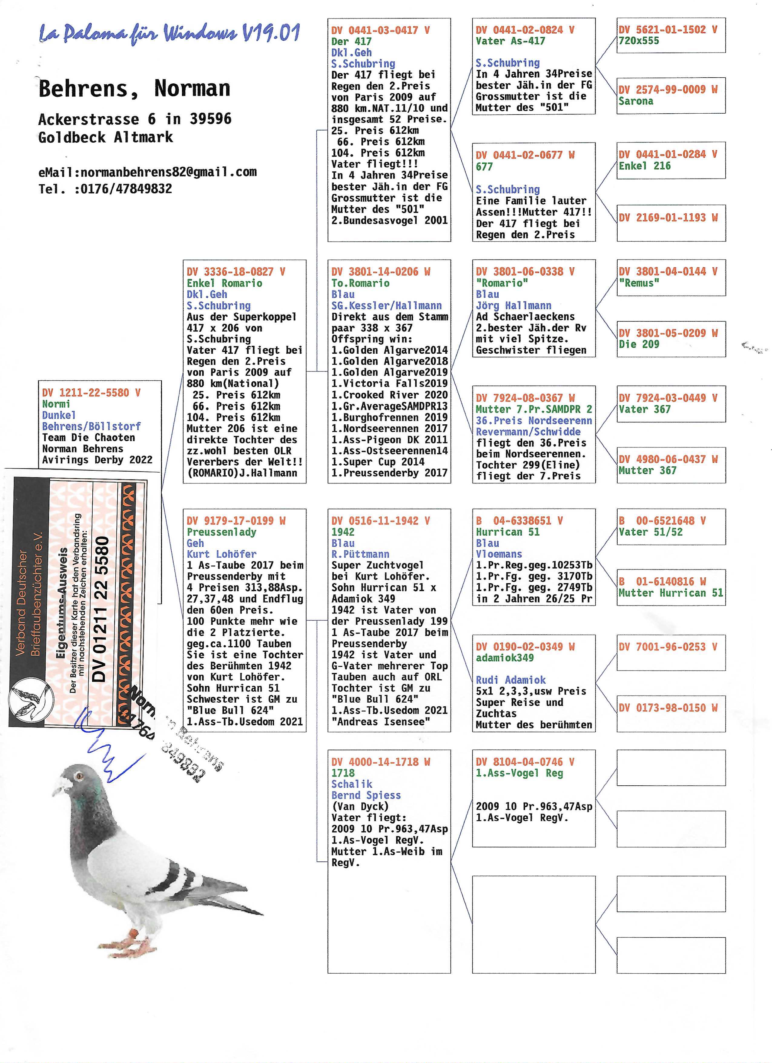 Pigeon pedigree image