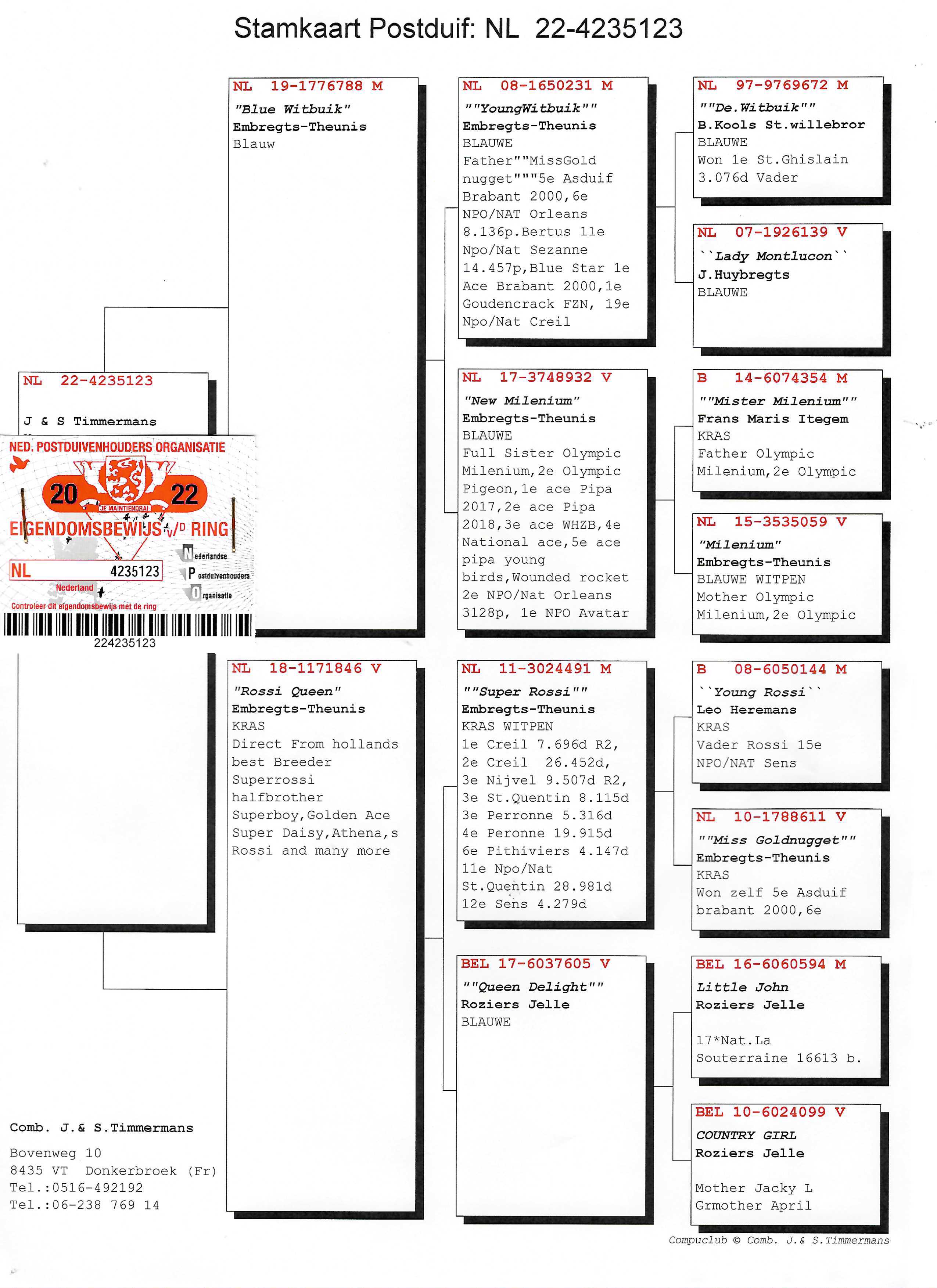 Pigeon pedigree image