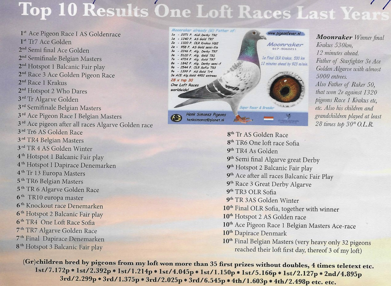 Pigeon pedigree image