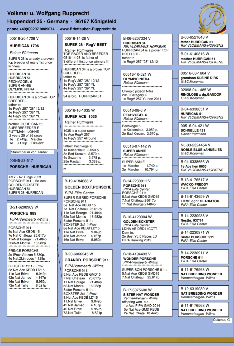 Pigeon pedigree image