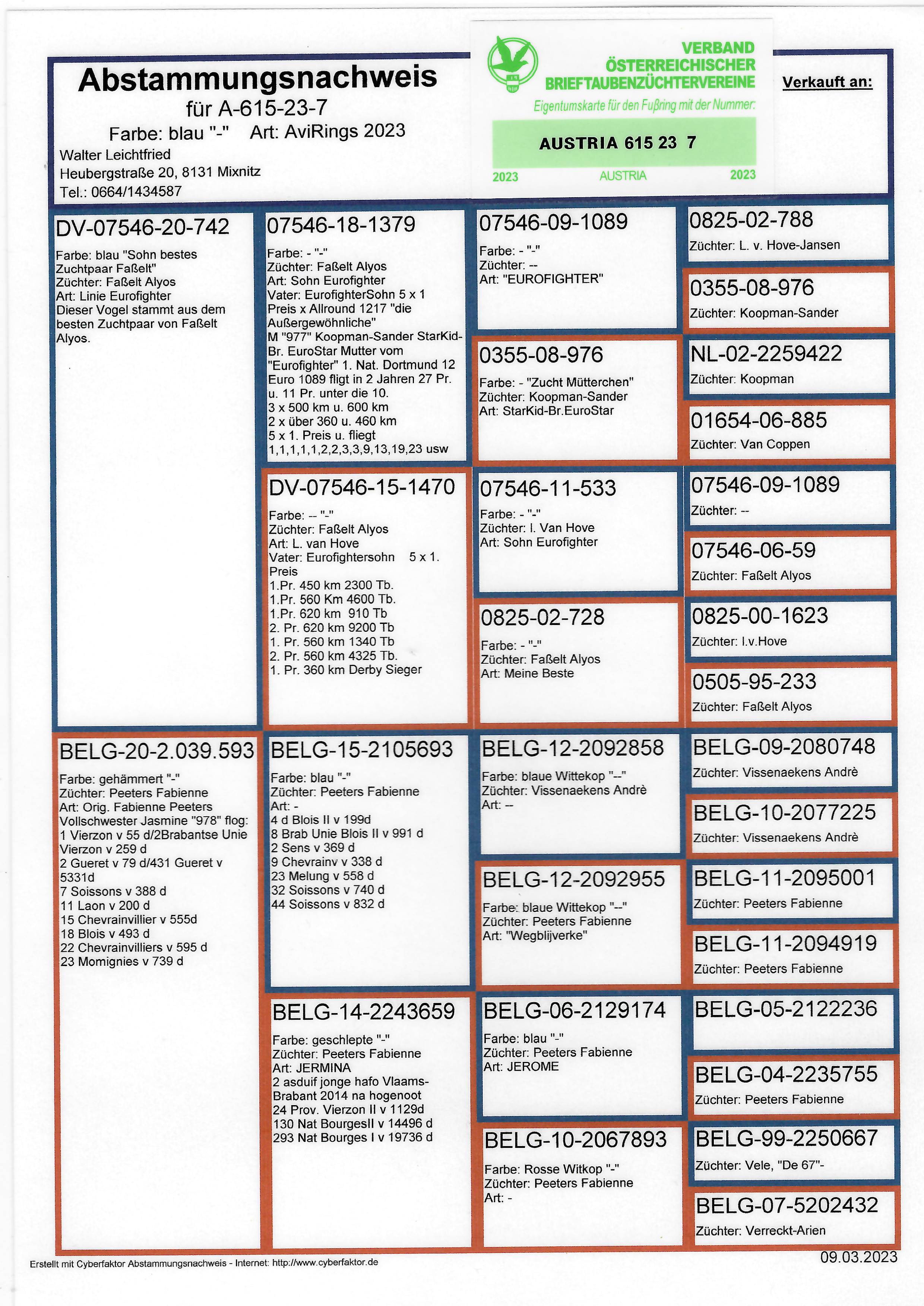 Pigeon pedigree image