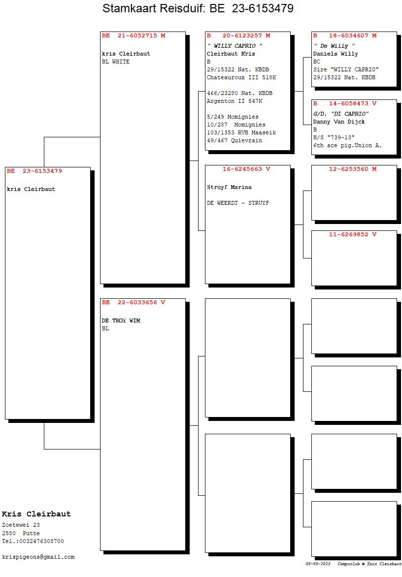 Pigeon pedigree image