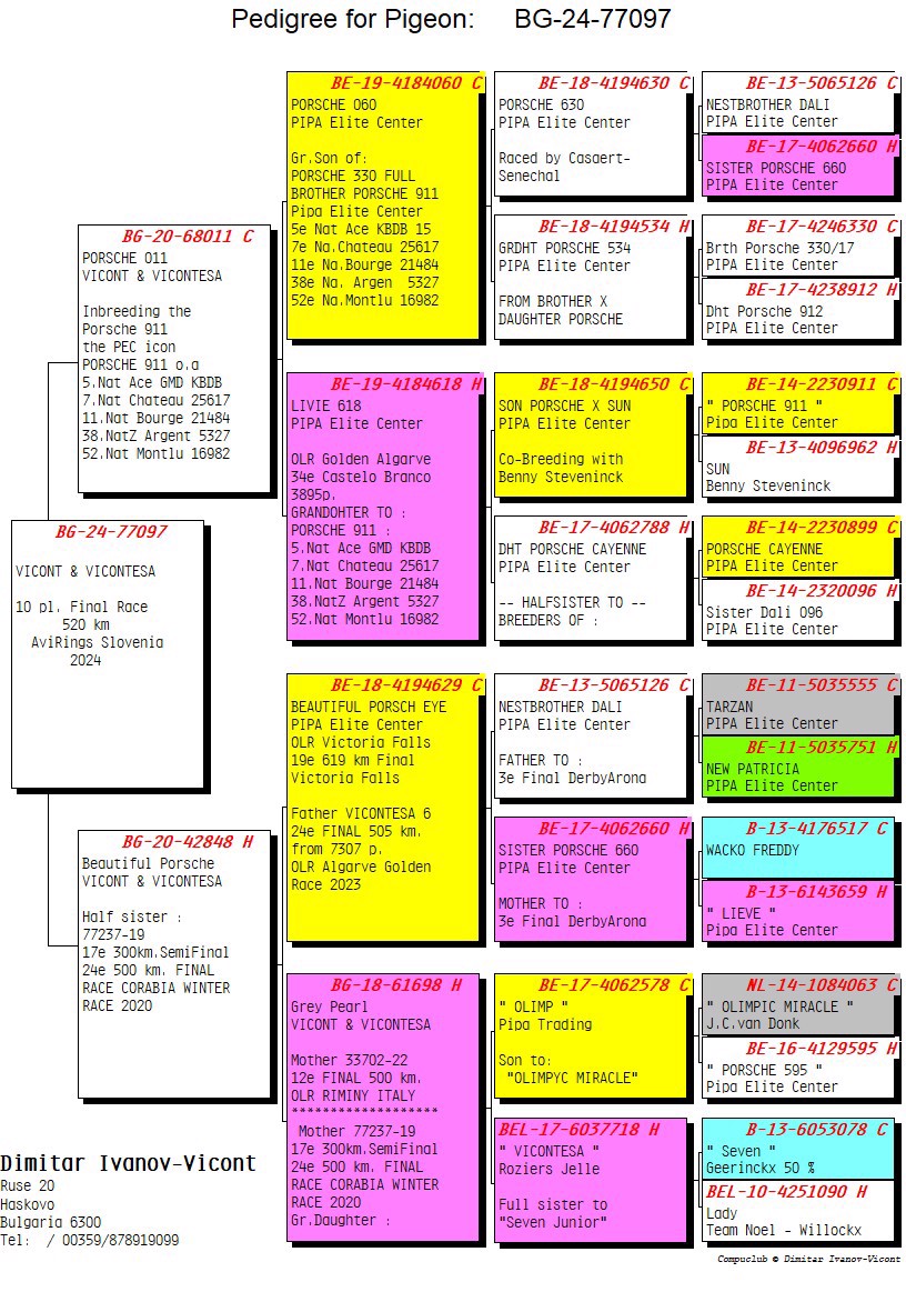 Pigeon pedigree image