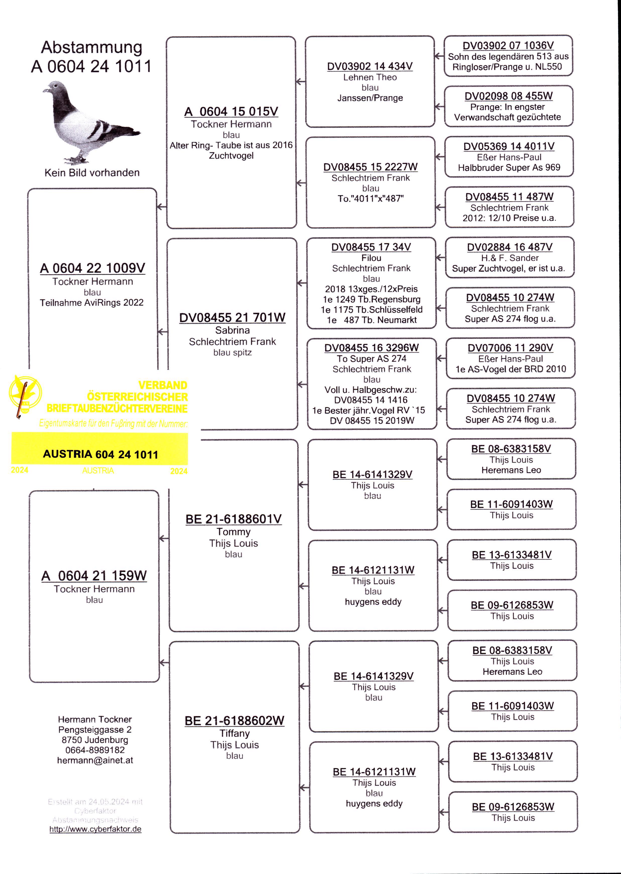 Pigeon pedigree image