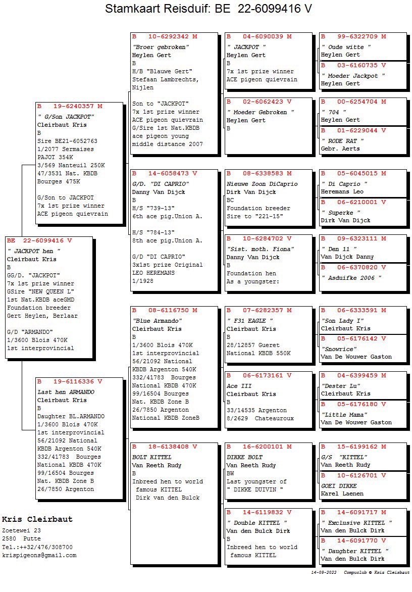 Pigeon pedigree image