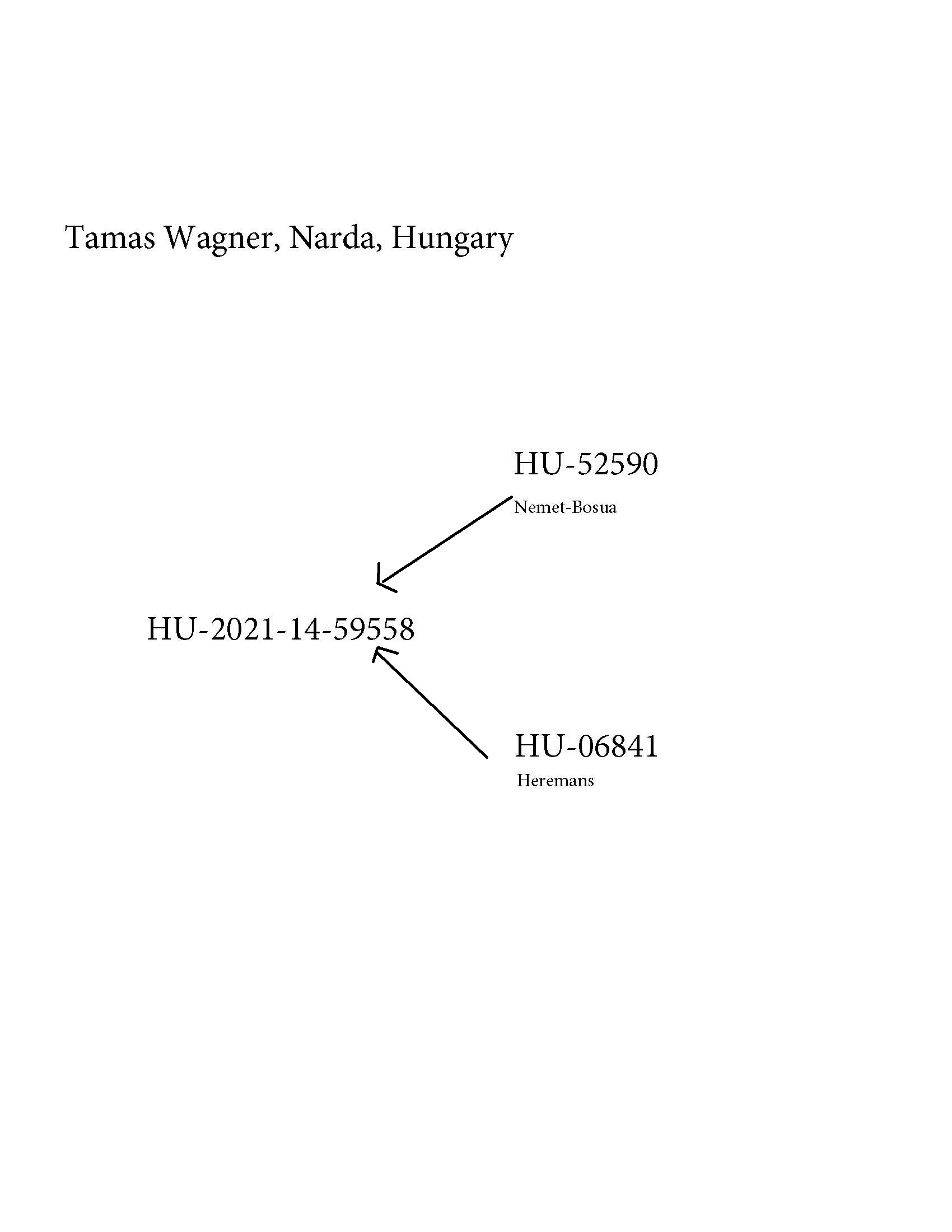 Pigeon pedigree image