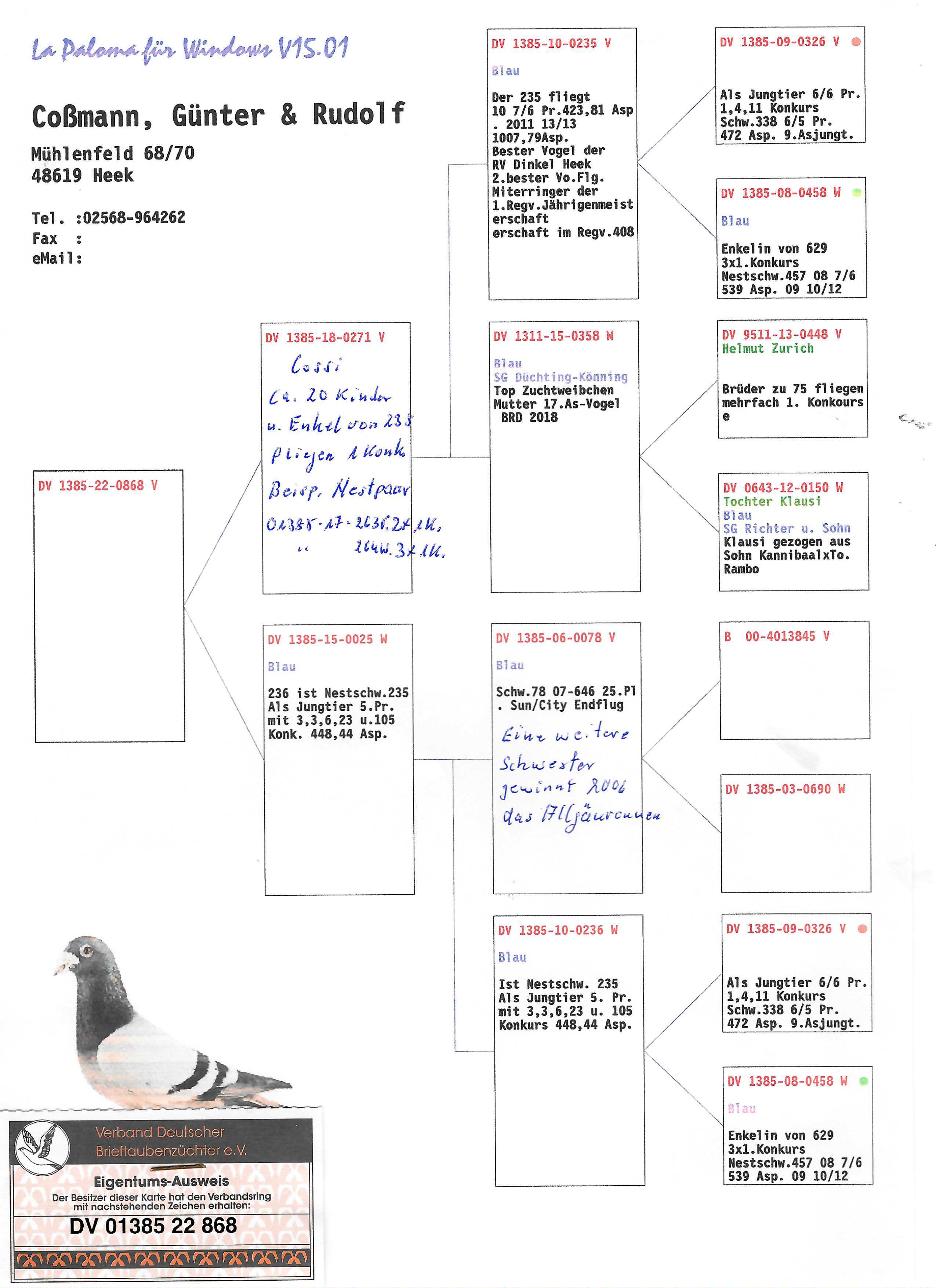 Pigeon pedigree image