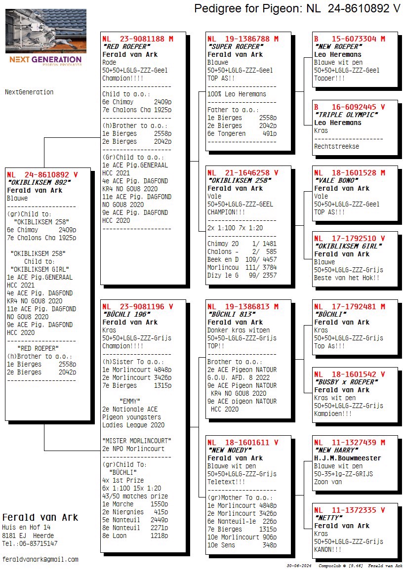 Pigeon pedigree image