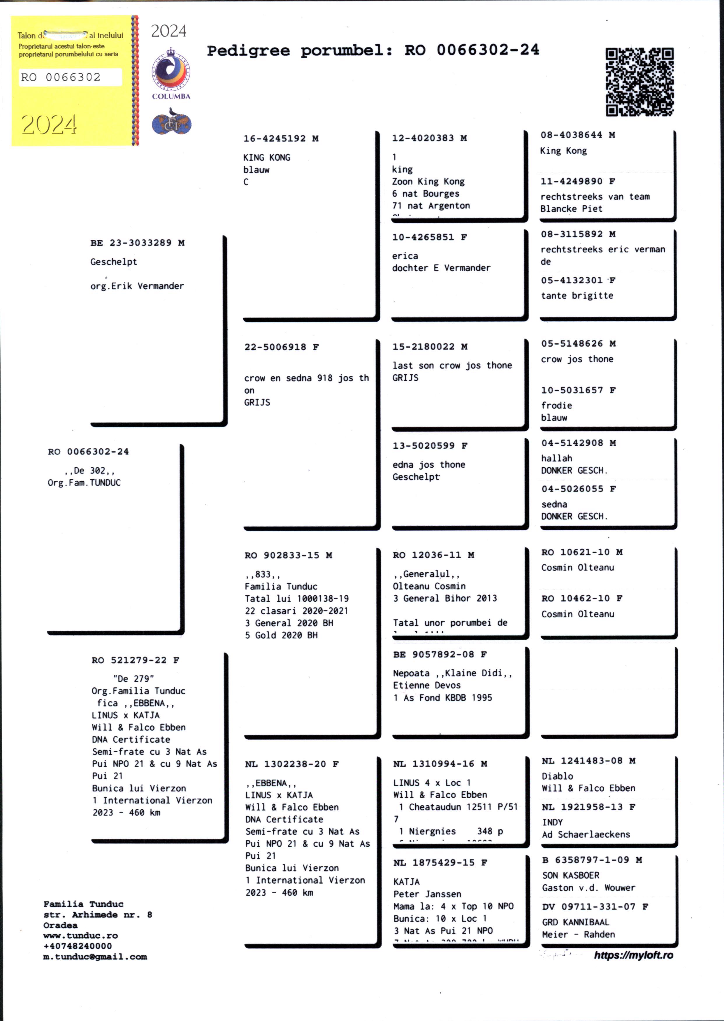 Pigeon pedigree image
