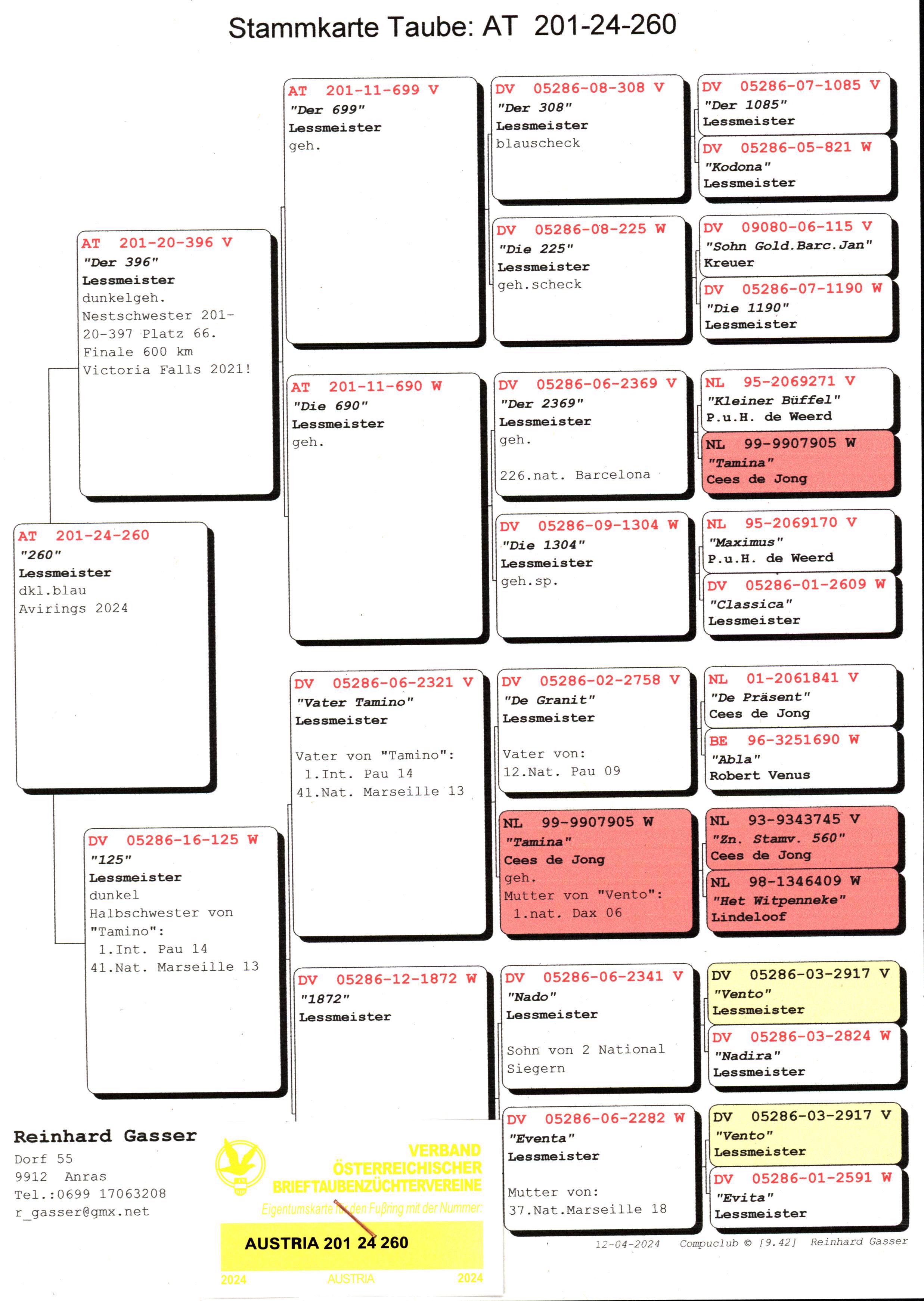 Pigeon pedigree image