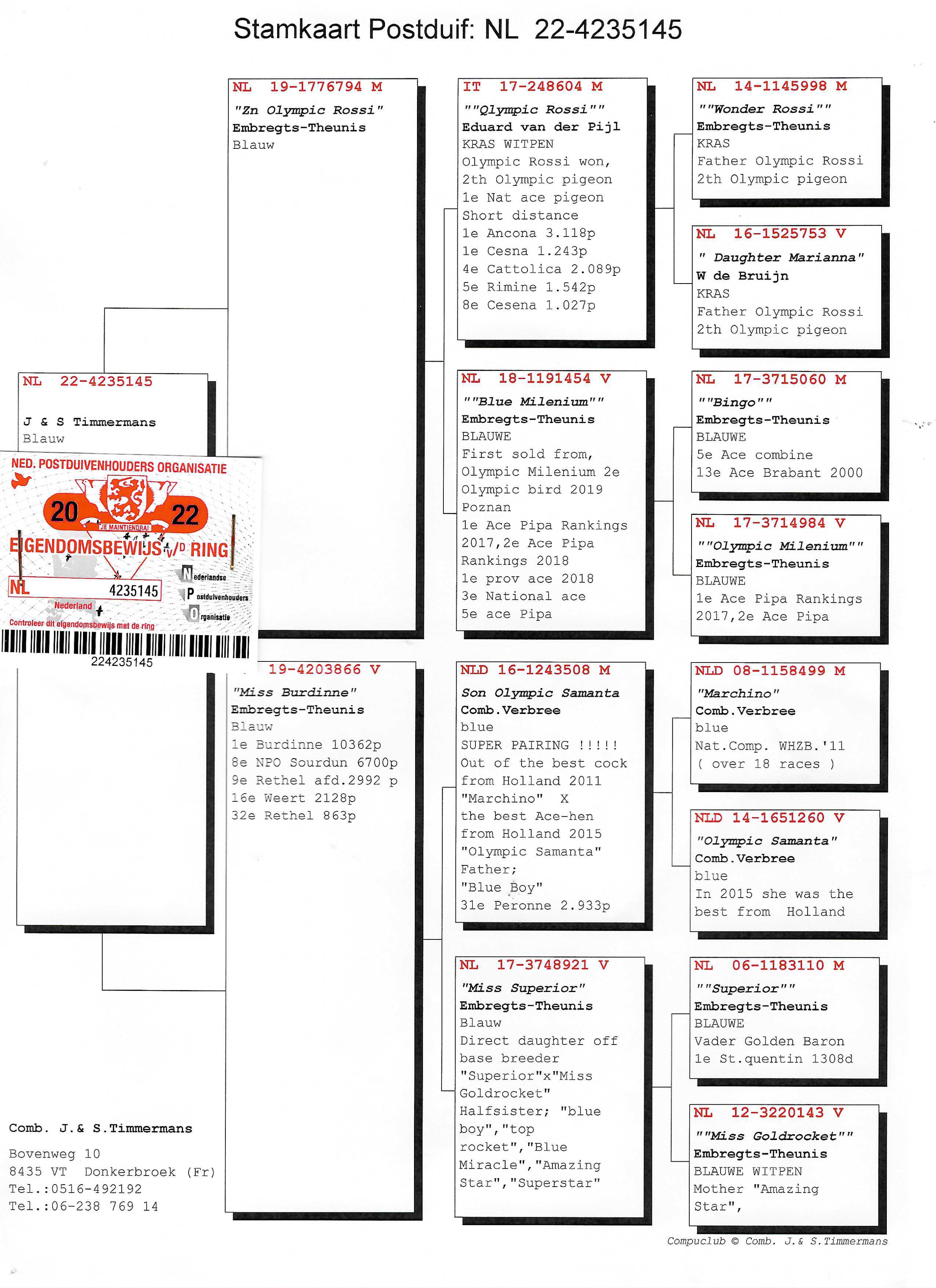Pigeon pedigree image