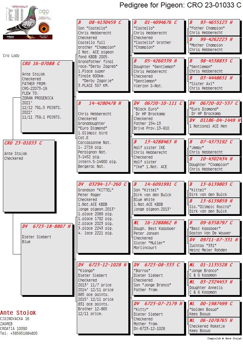 Pigeon pedigree image