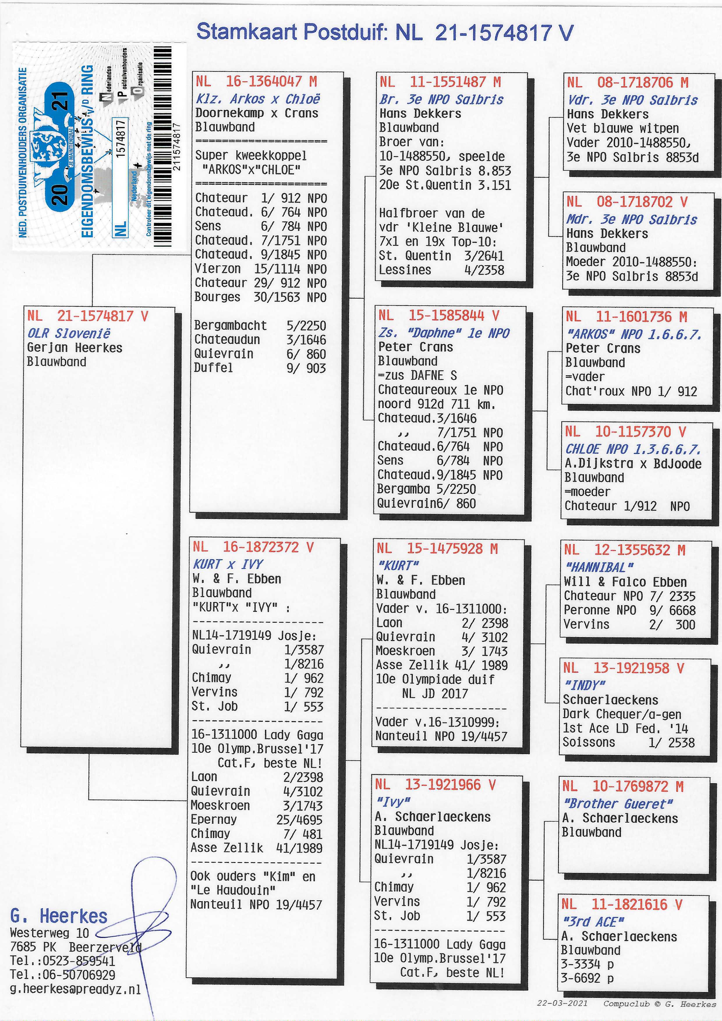Pigeon pedigree image