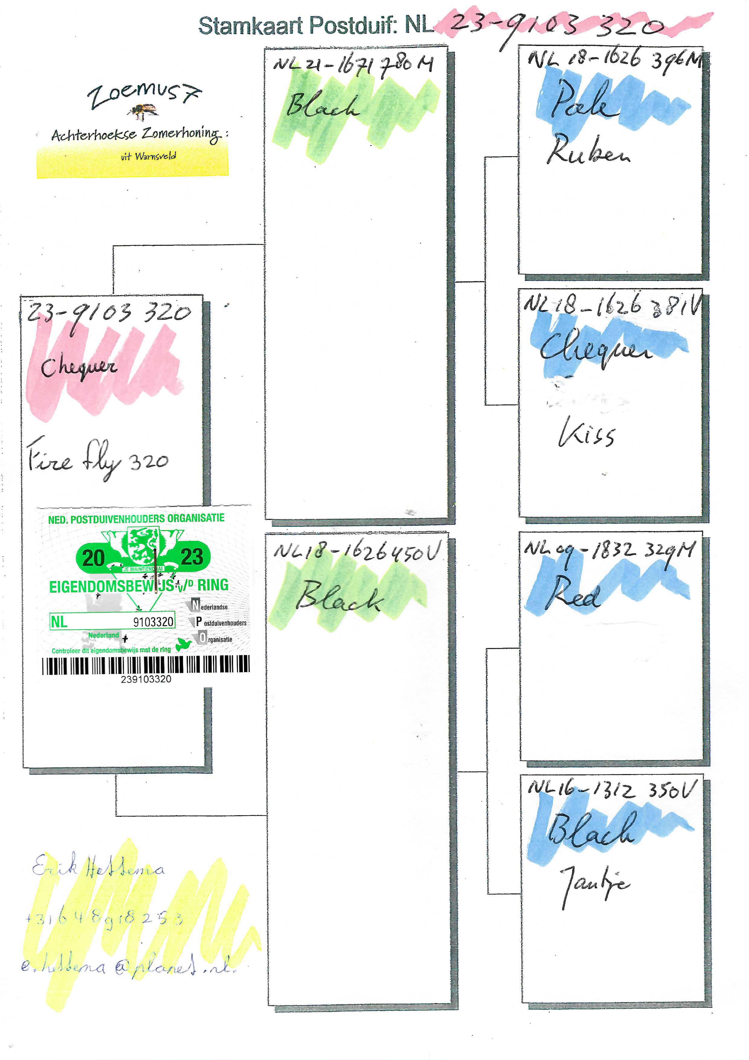 Pigeon pedigree image