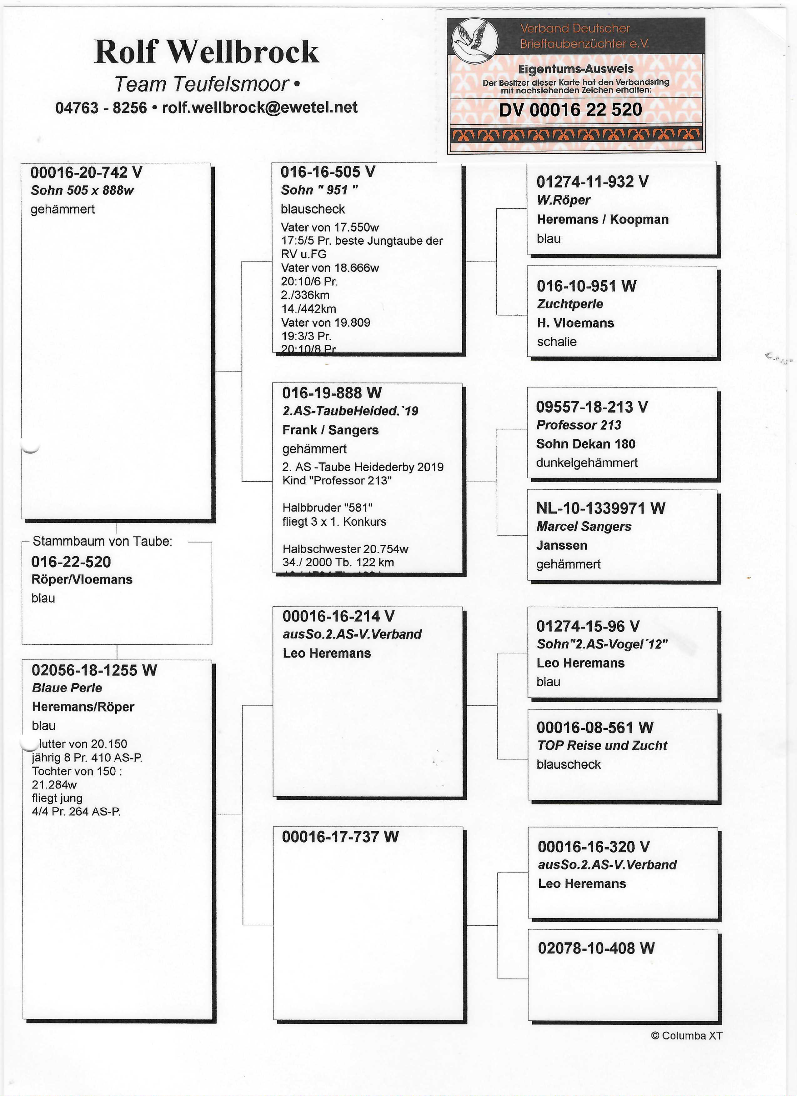 Pigeon pedigree image