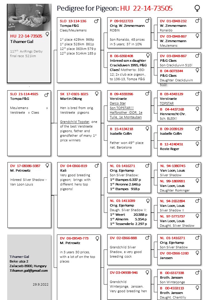 Pigeon pedigree image