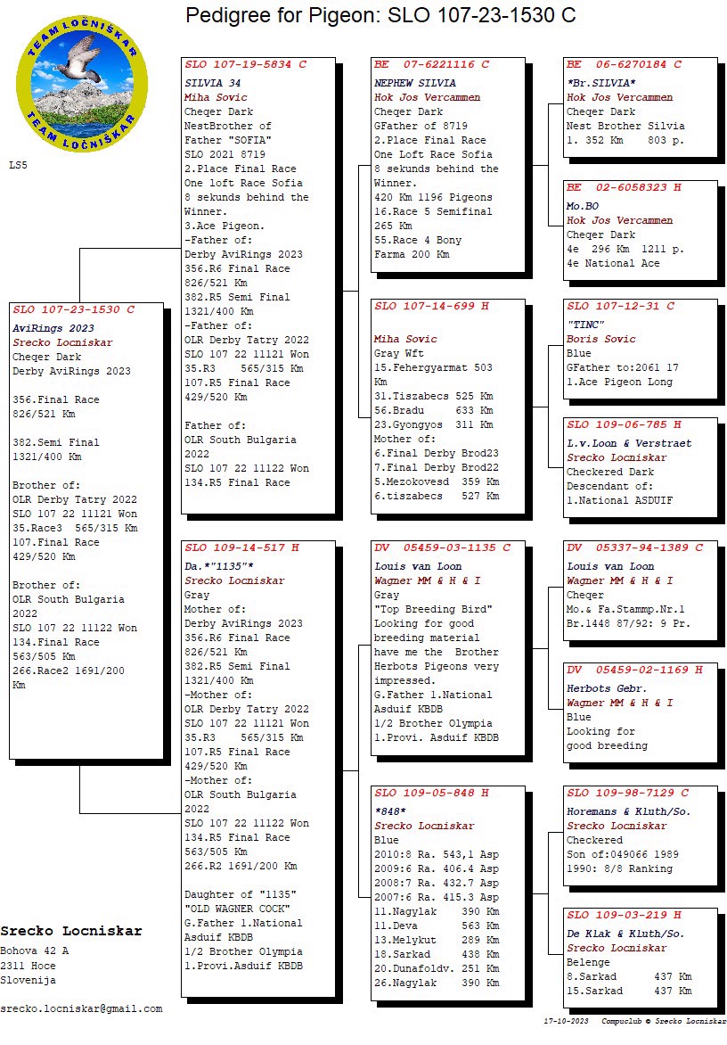 Pigeon pedigree image