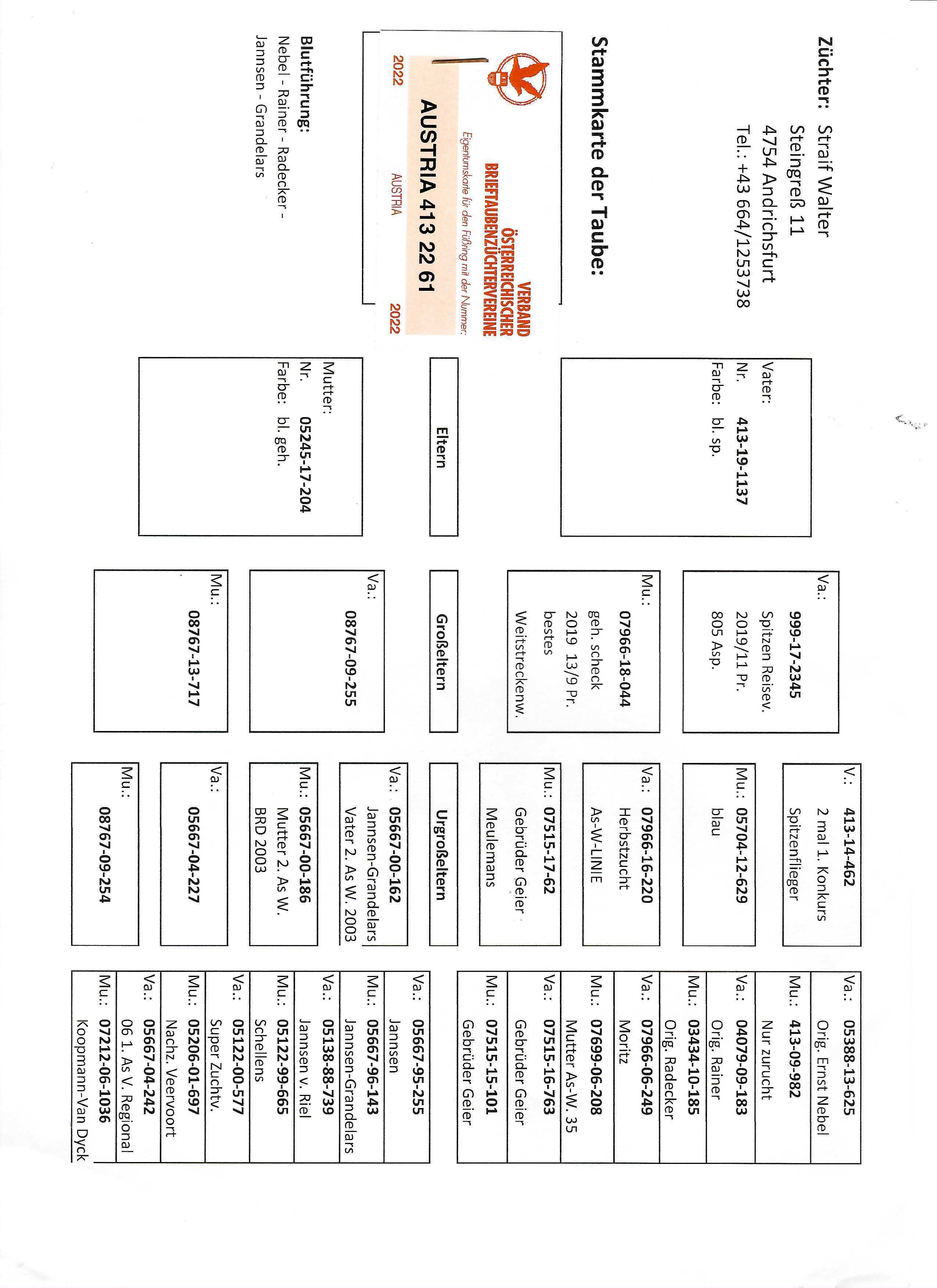 Pigeon pedigree image