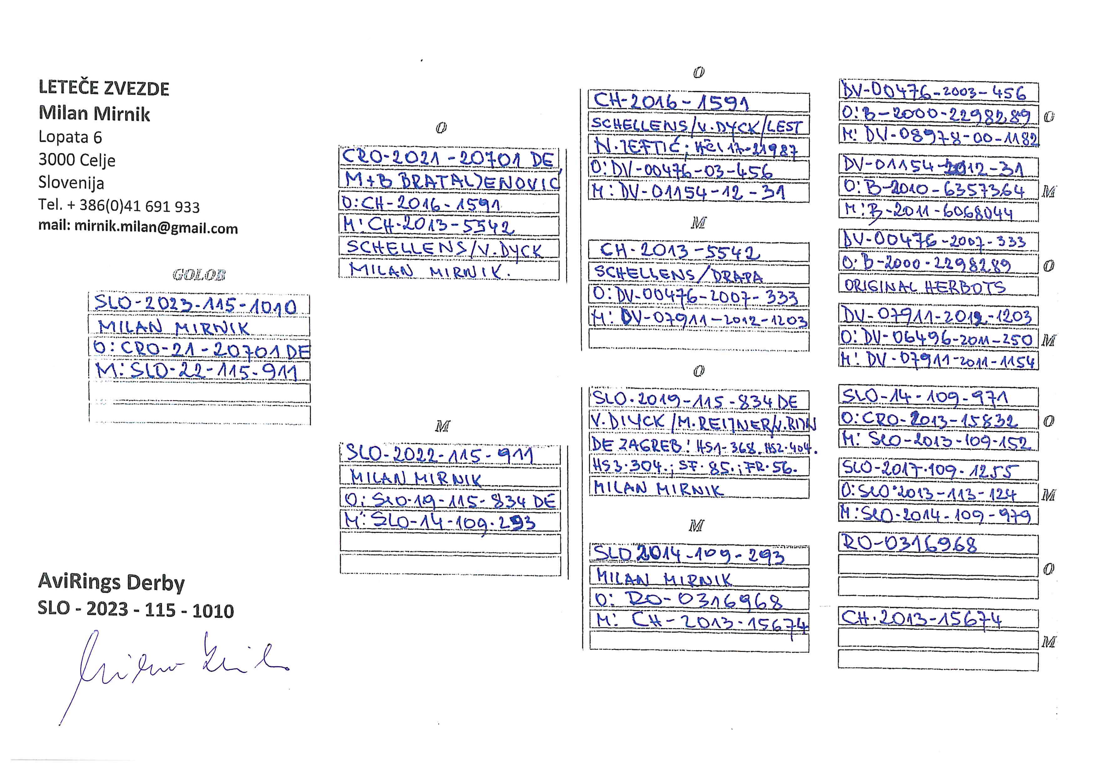 Pigeon pedigree image