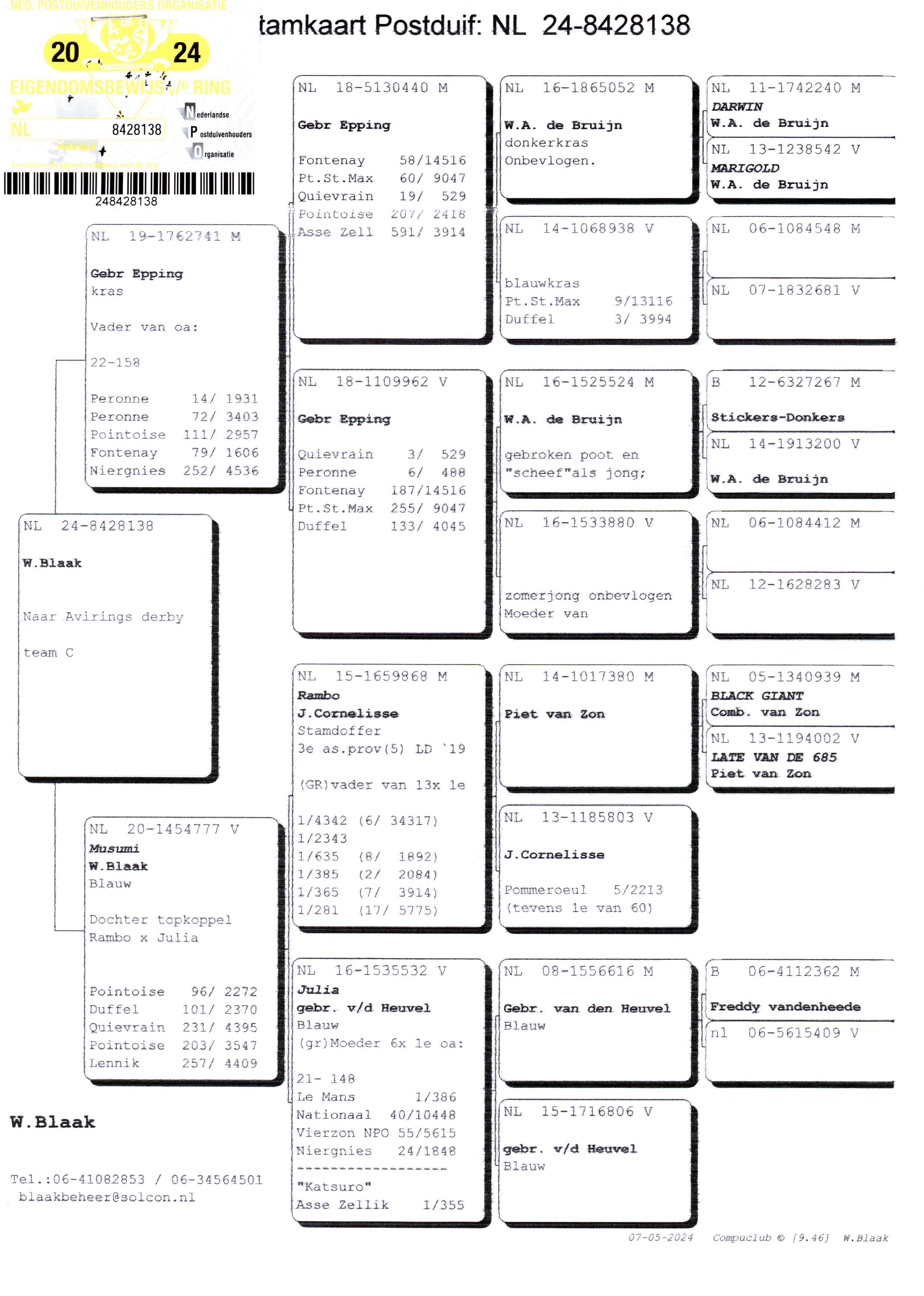 Pigeon pedigree image