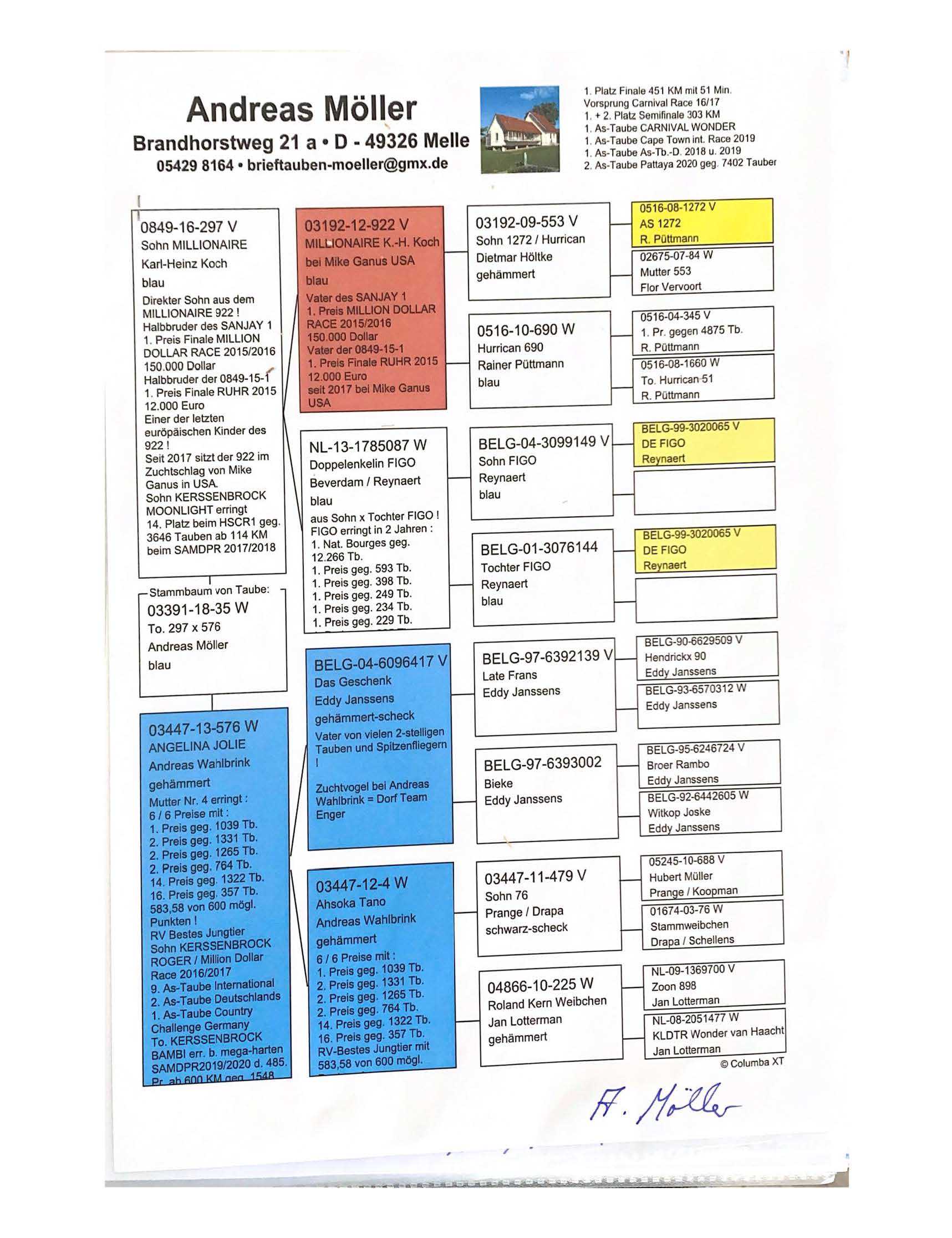 Pigeon pedigree image